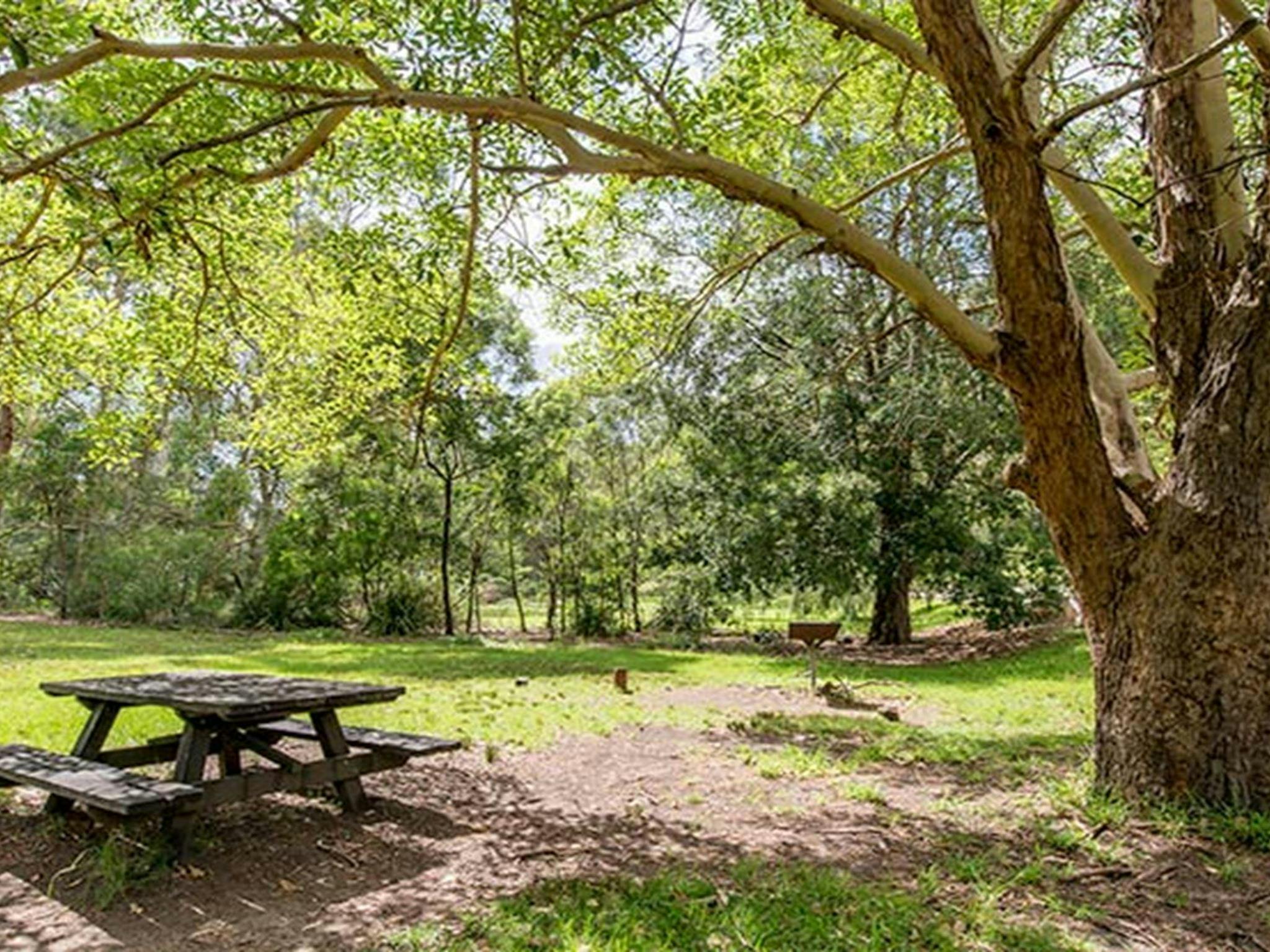 Illoura picnic area, Lane Cove National Park. Photo: John Spencer