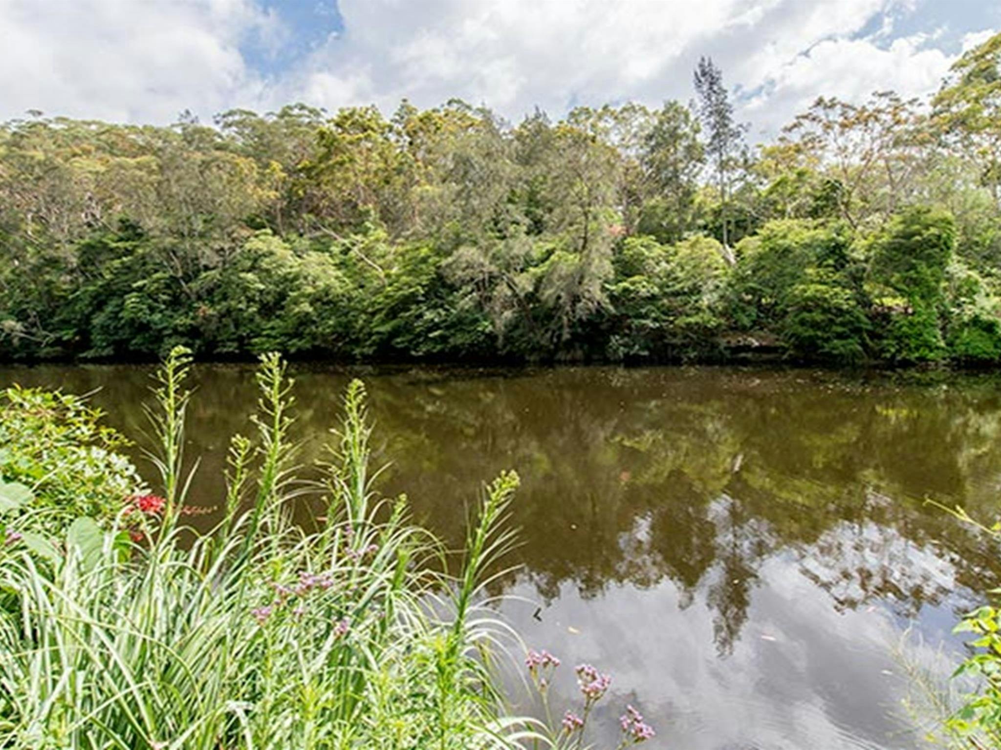 Illoura picnic area, Lane Cove National Park. Photo: John Spencer