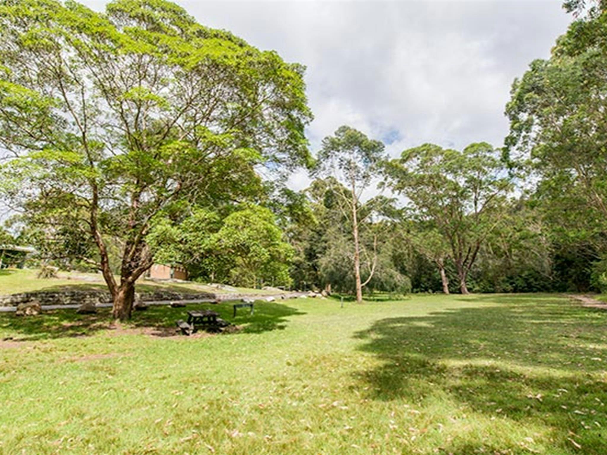 Illoura picnic area, Lane Cove National Park. Photo: John Spencer