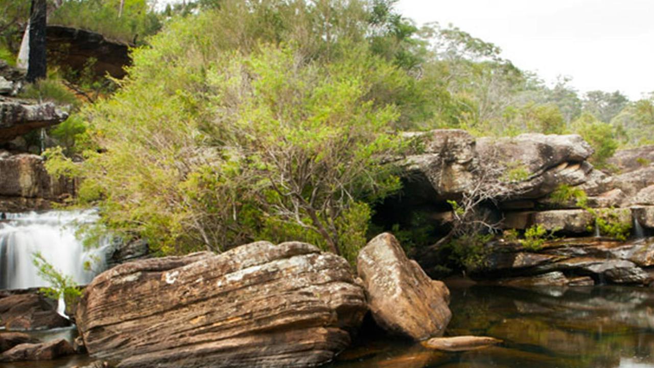 Dharawal National Park