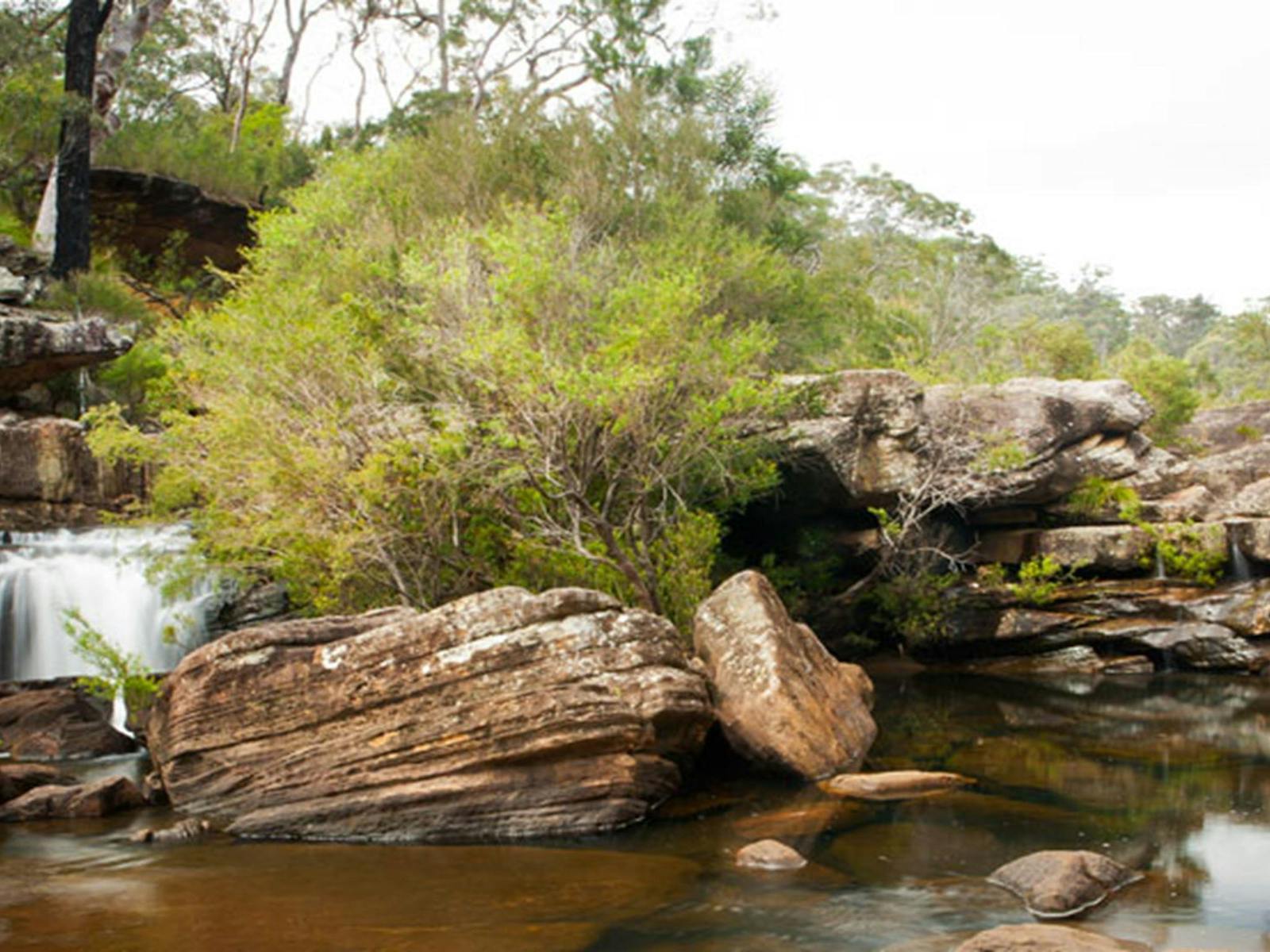 일루카 크리크(Dharawal National Park). 사진: 루카스 보이드 © 에에