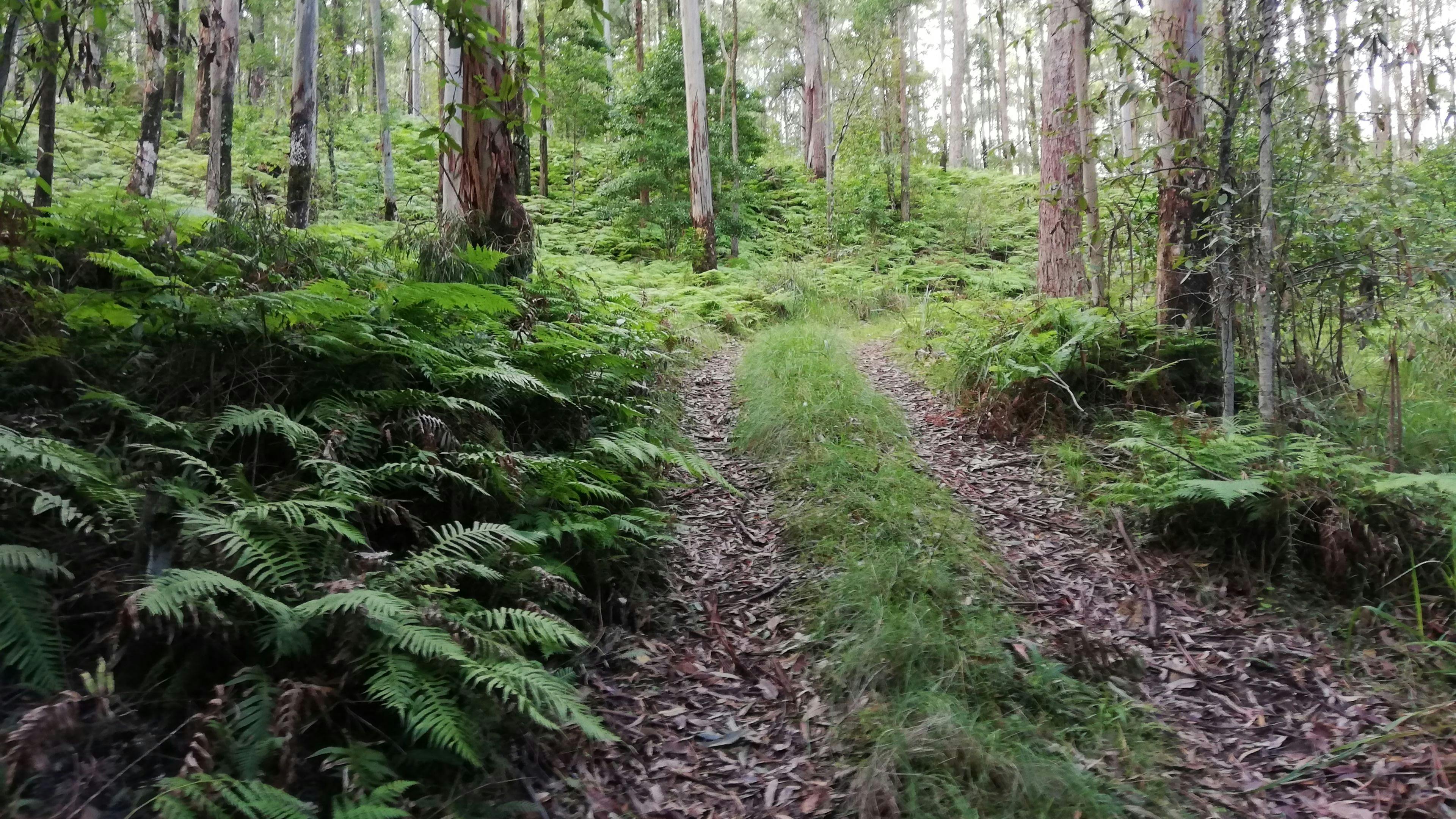 Imago Forest has beautiful walks.