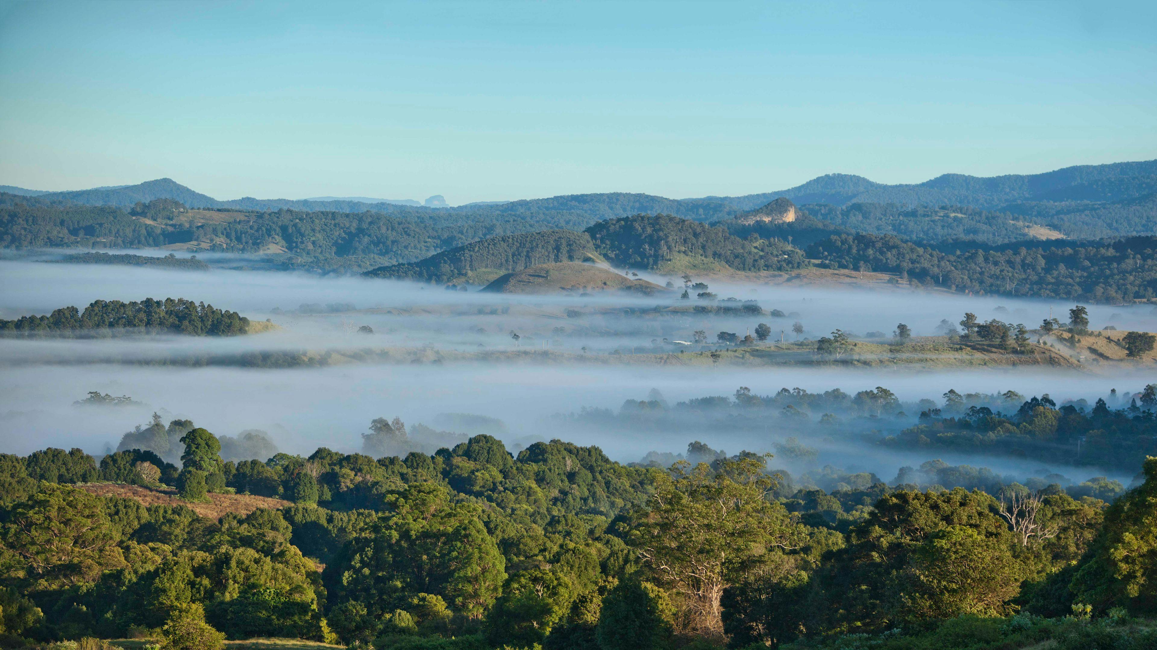 Nimbin Valley Dairy