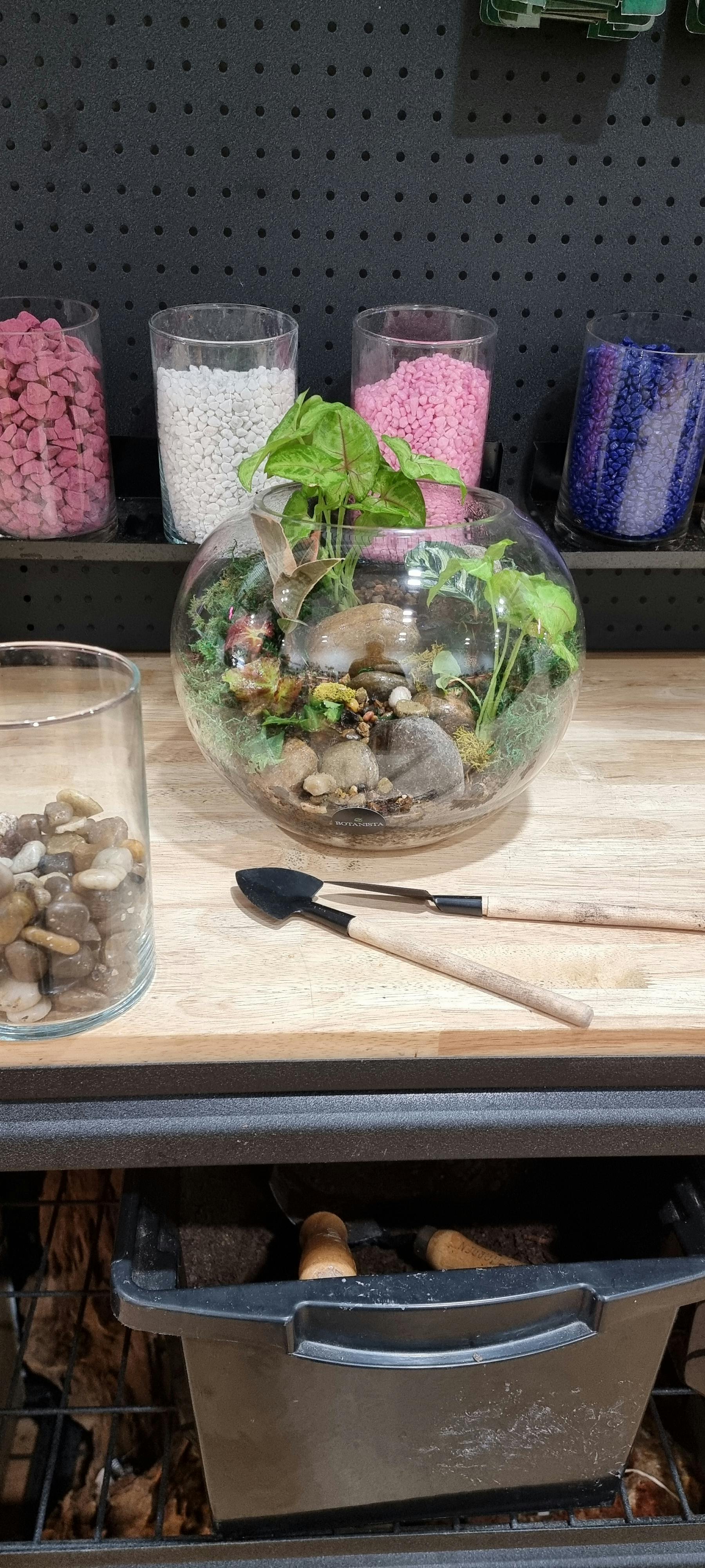 Indoor Terrarium Workshop