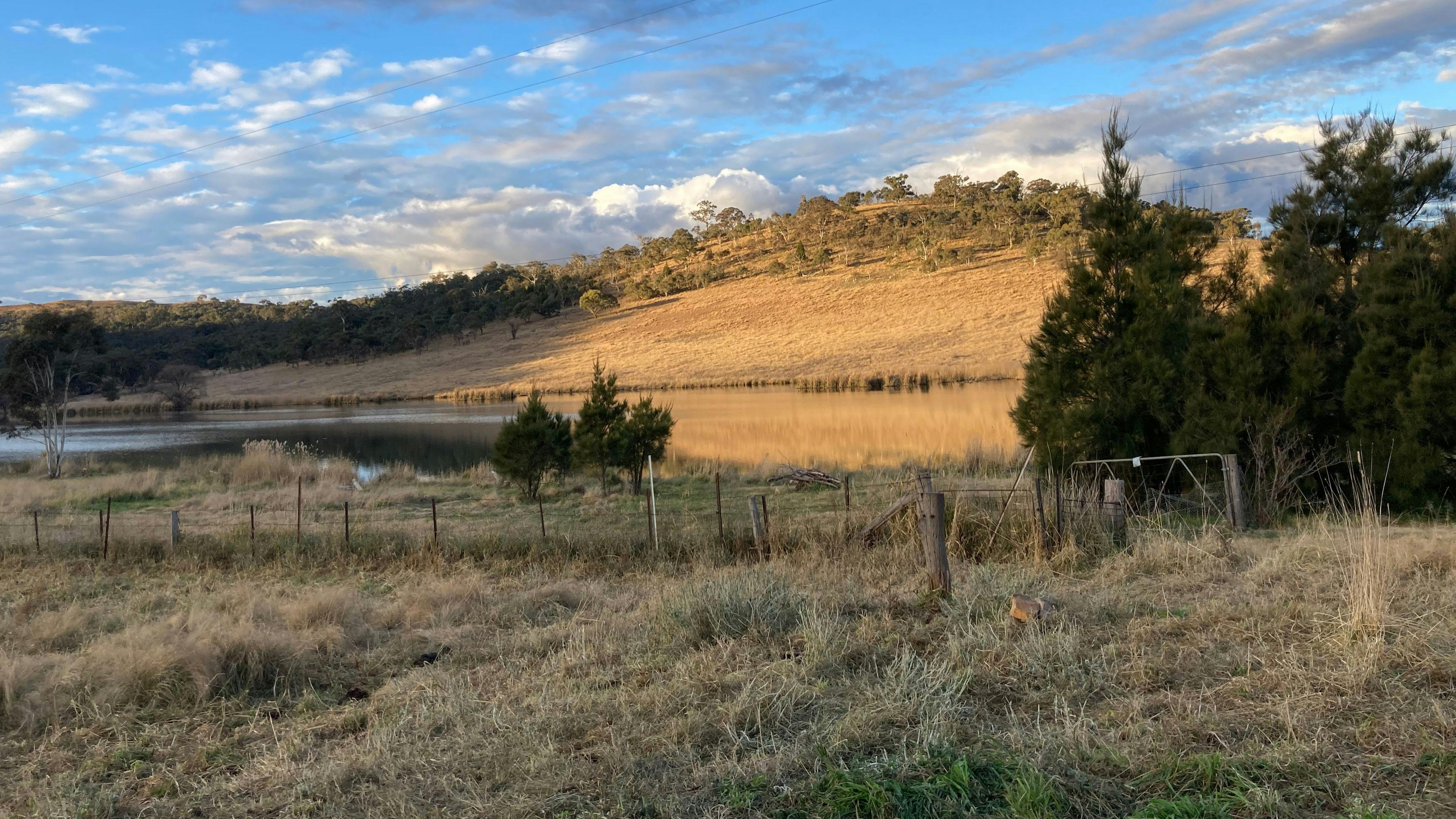 Ingelara Farm lake