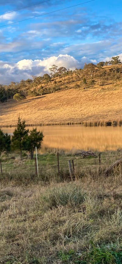 Ingelara Farm lake