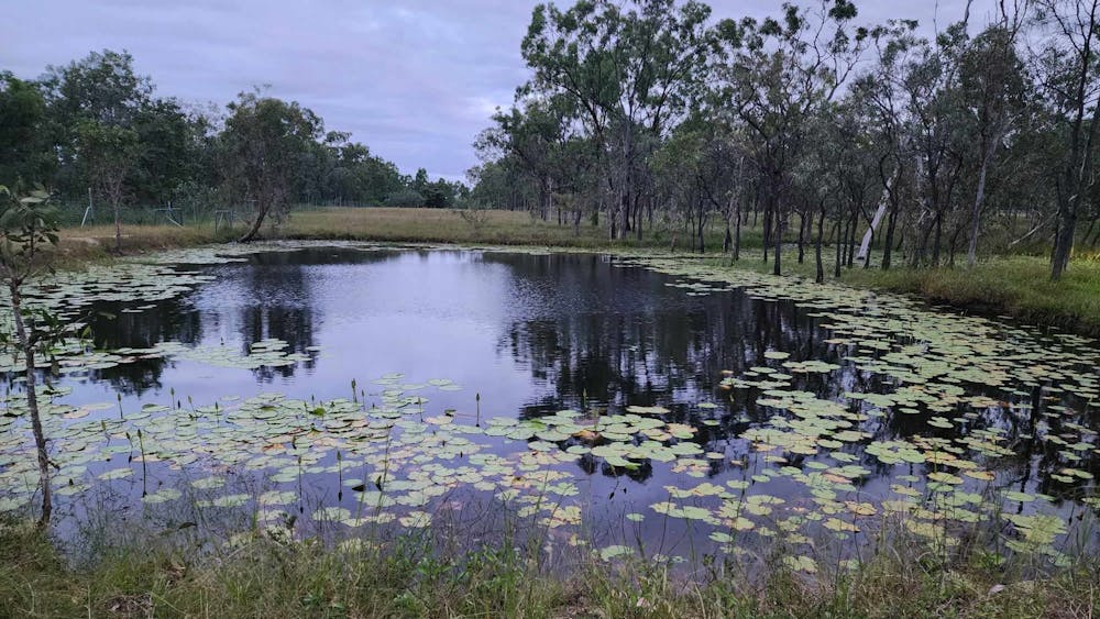 Black River Bush Retreat