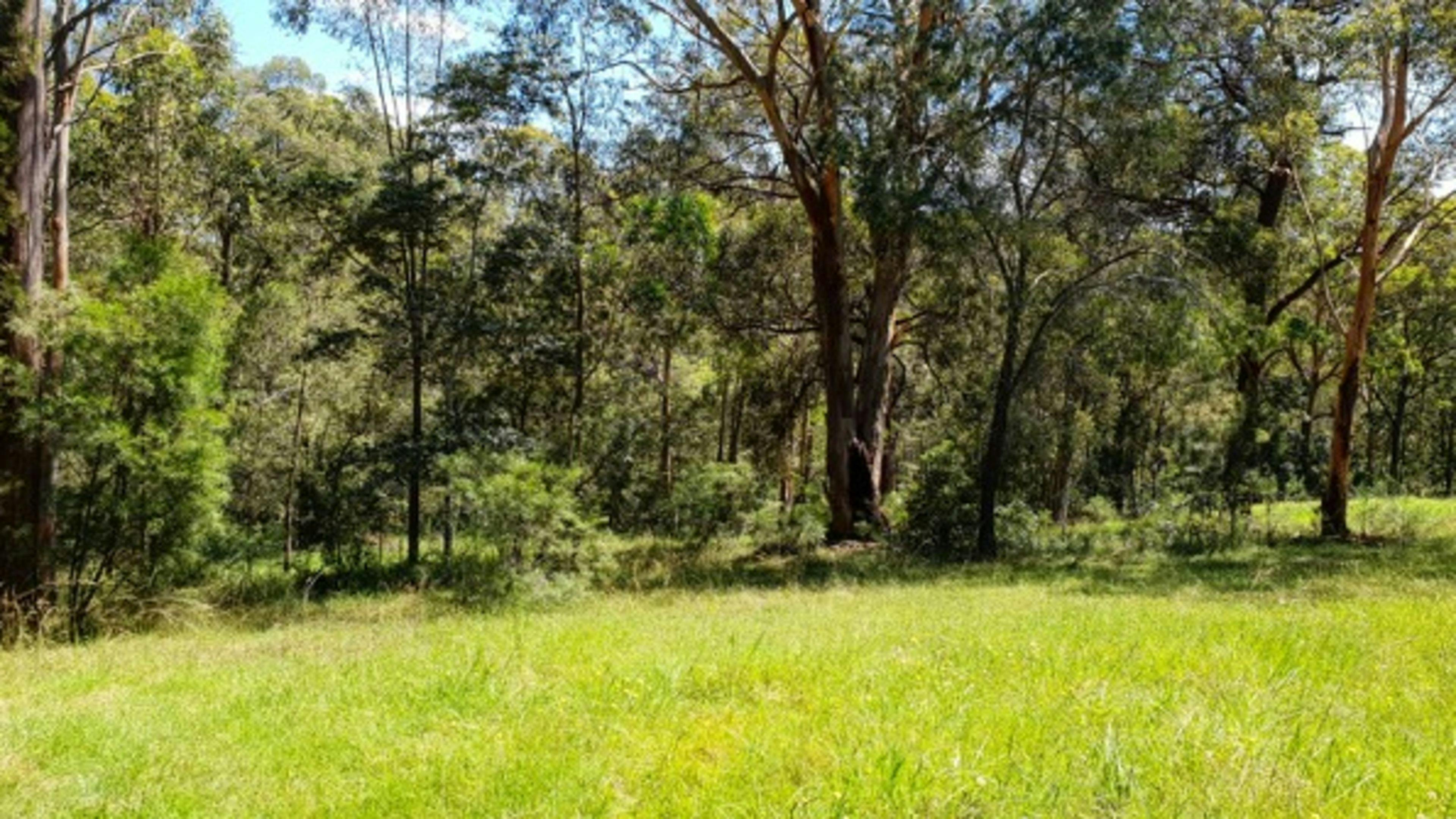 Innisfree, nr Blue Mountains