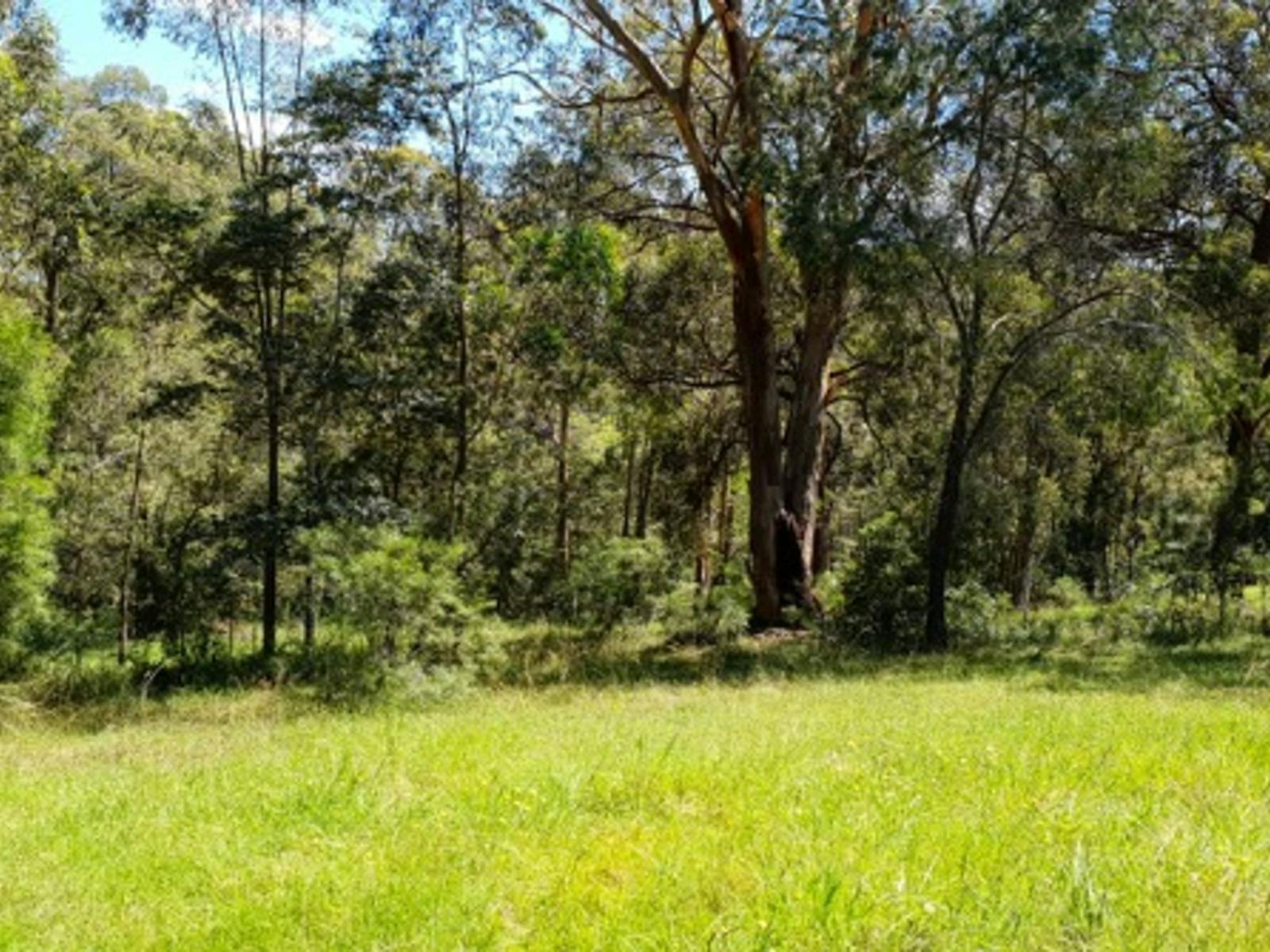 蓝山附近的茵尼斯弗里