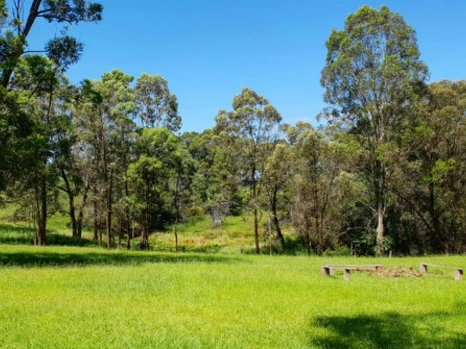 蓝山附近的茵尼斯弗里