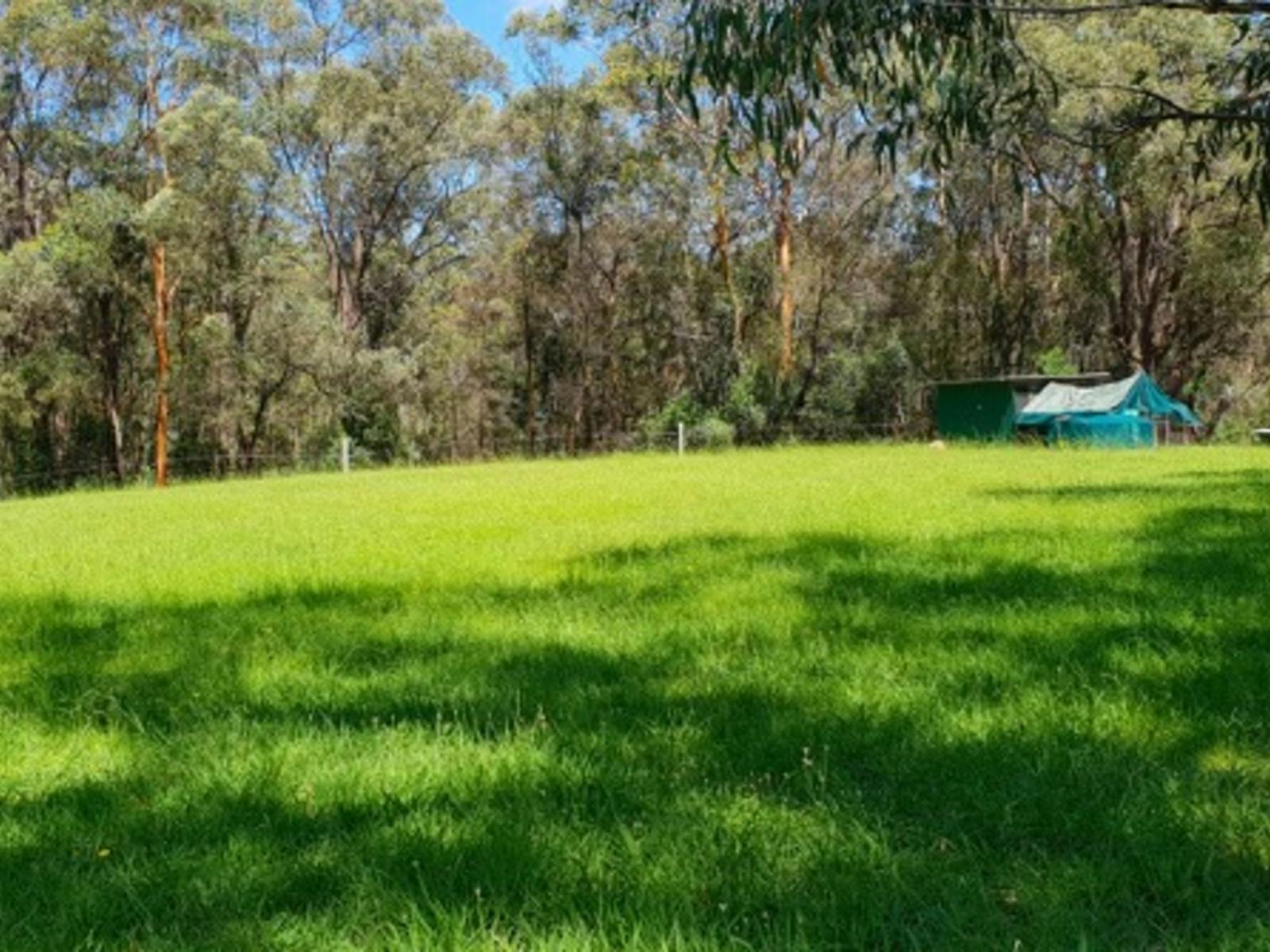 蓝山附近的茵尼斯弗里