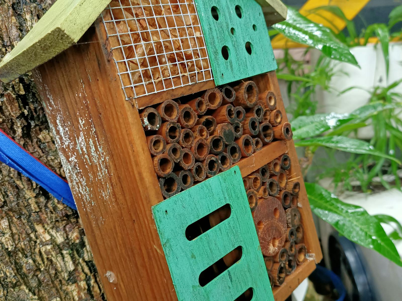 Image for Insect Hotel Building Class for Kids (9-12 Years)