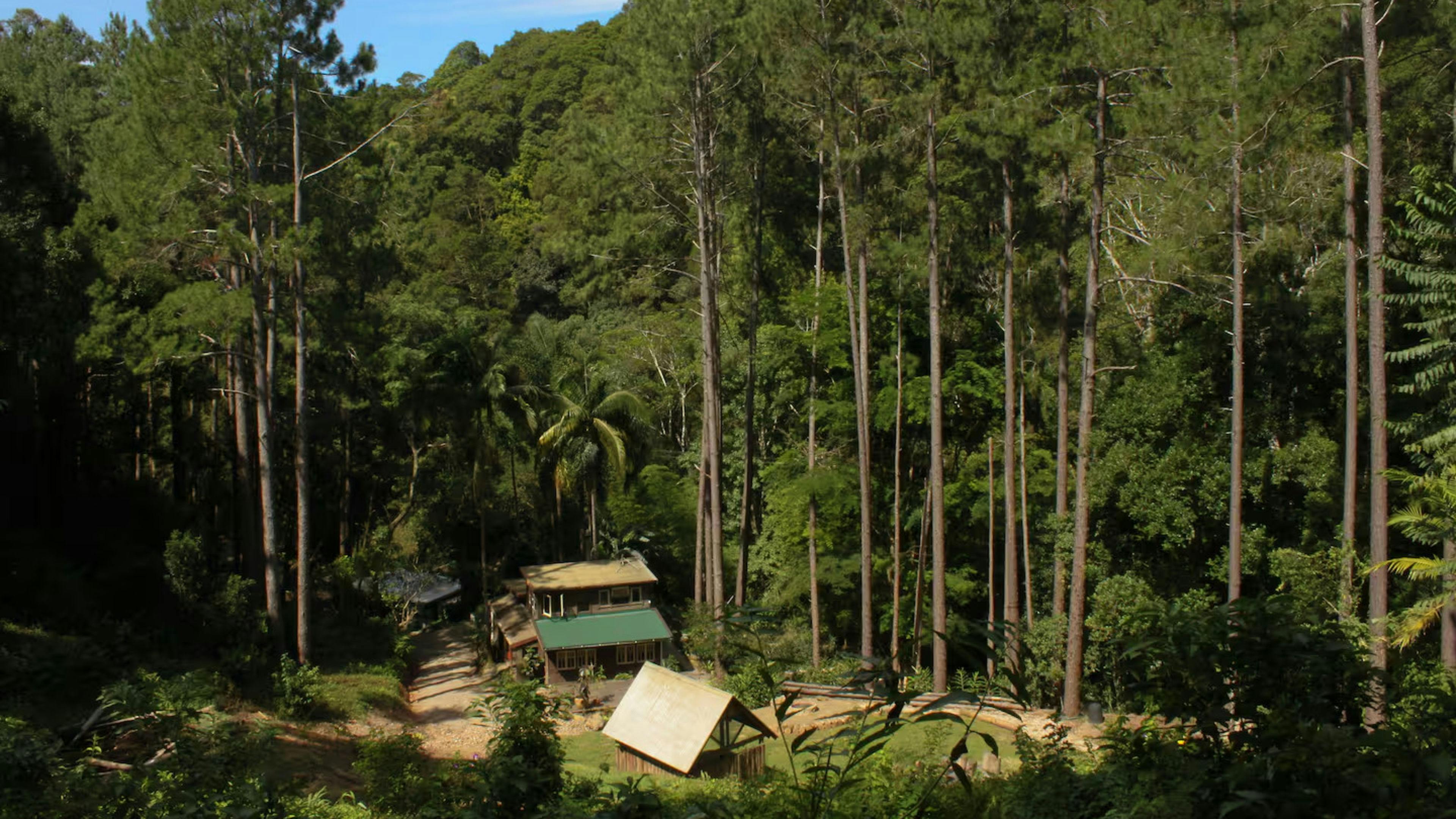Aerial view of Pine Cabin
