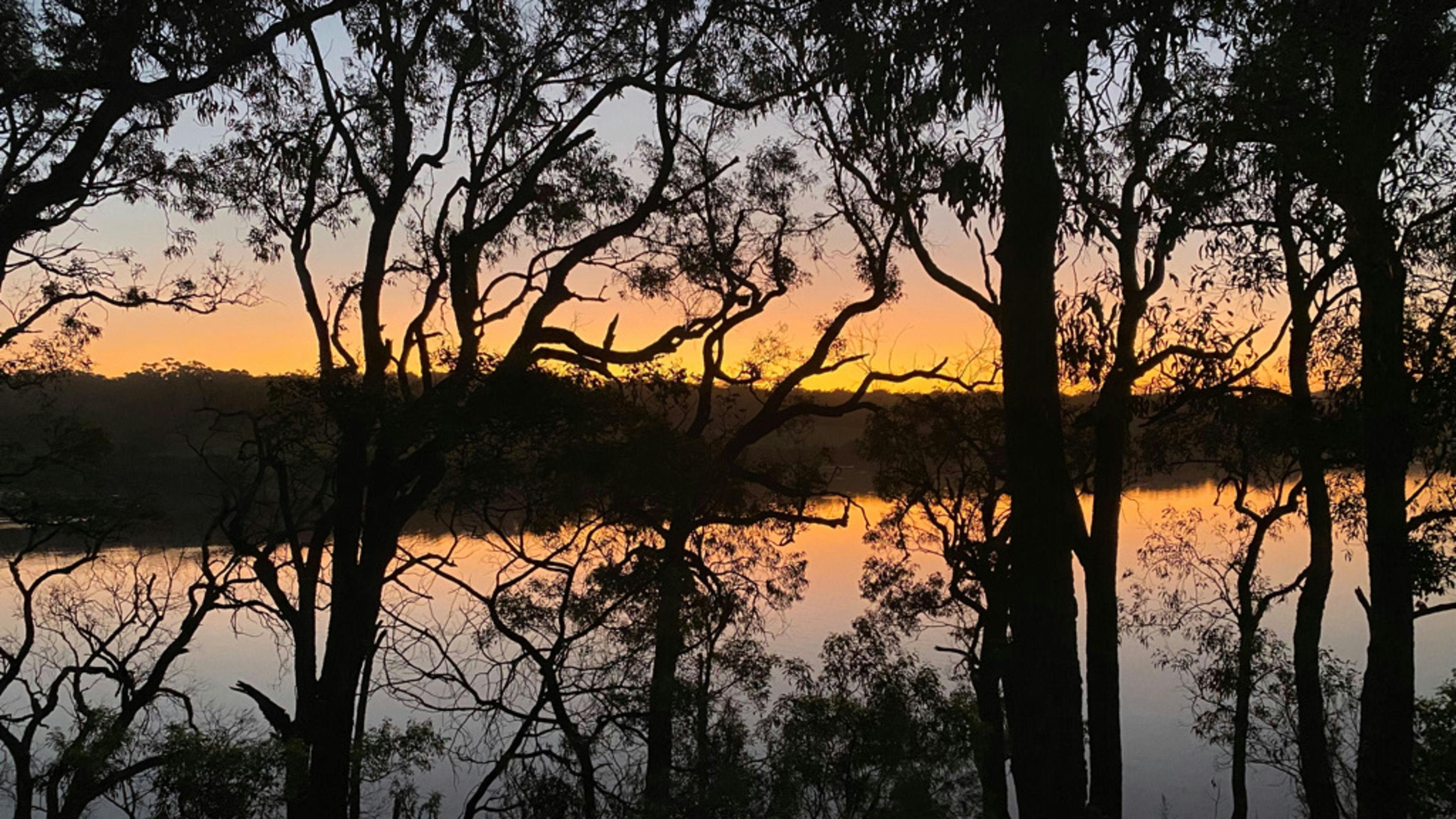Ironbark Bermagui