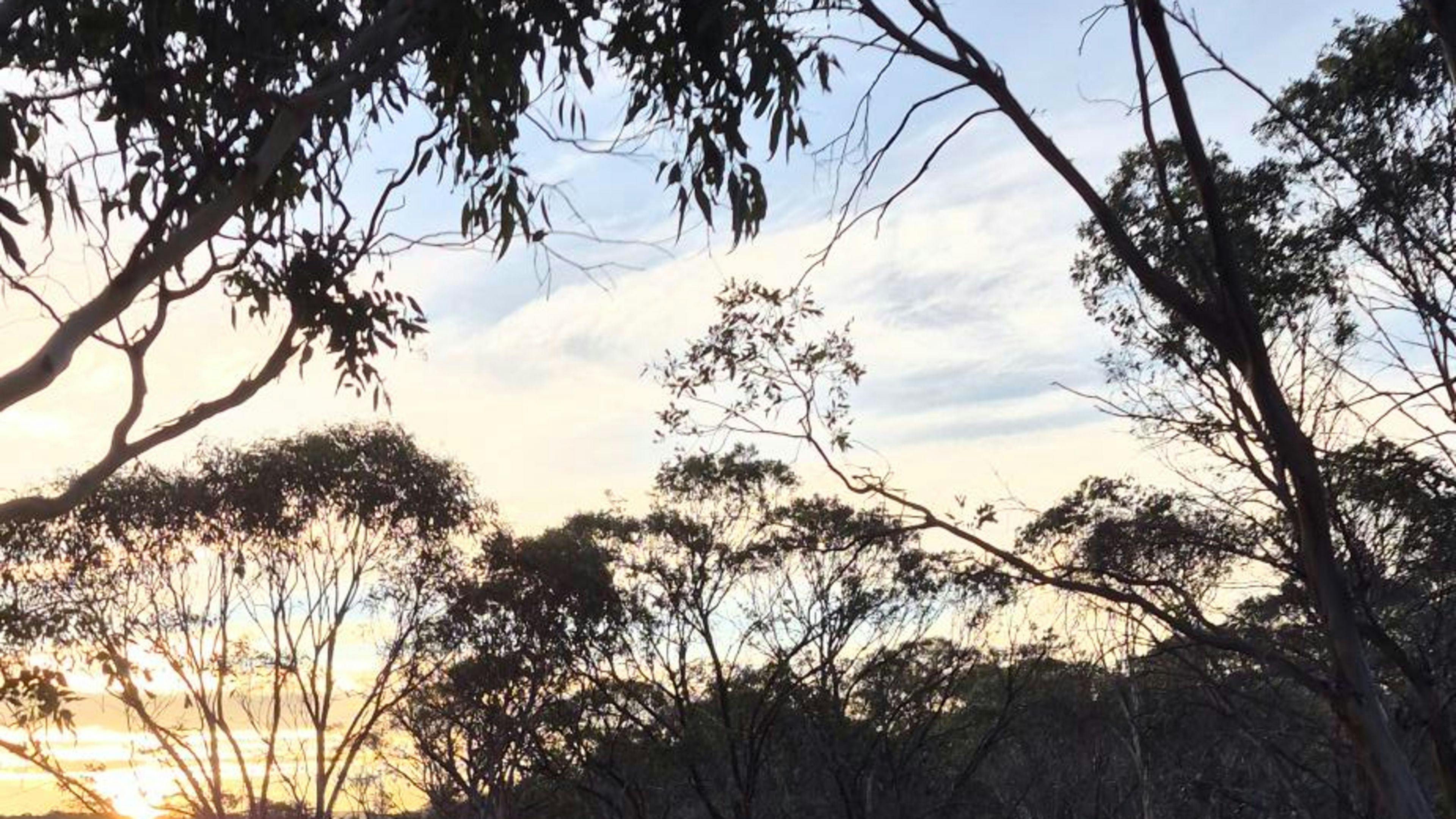 Ironpot Farmstay, Jindabyne