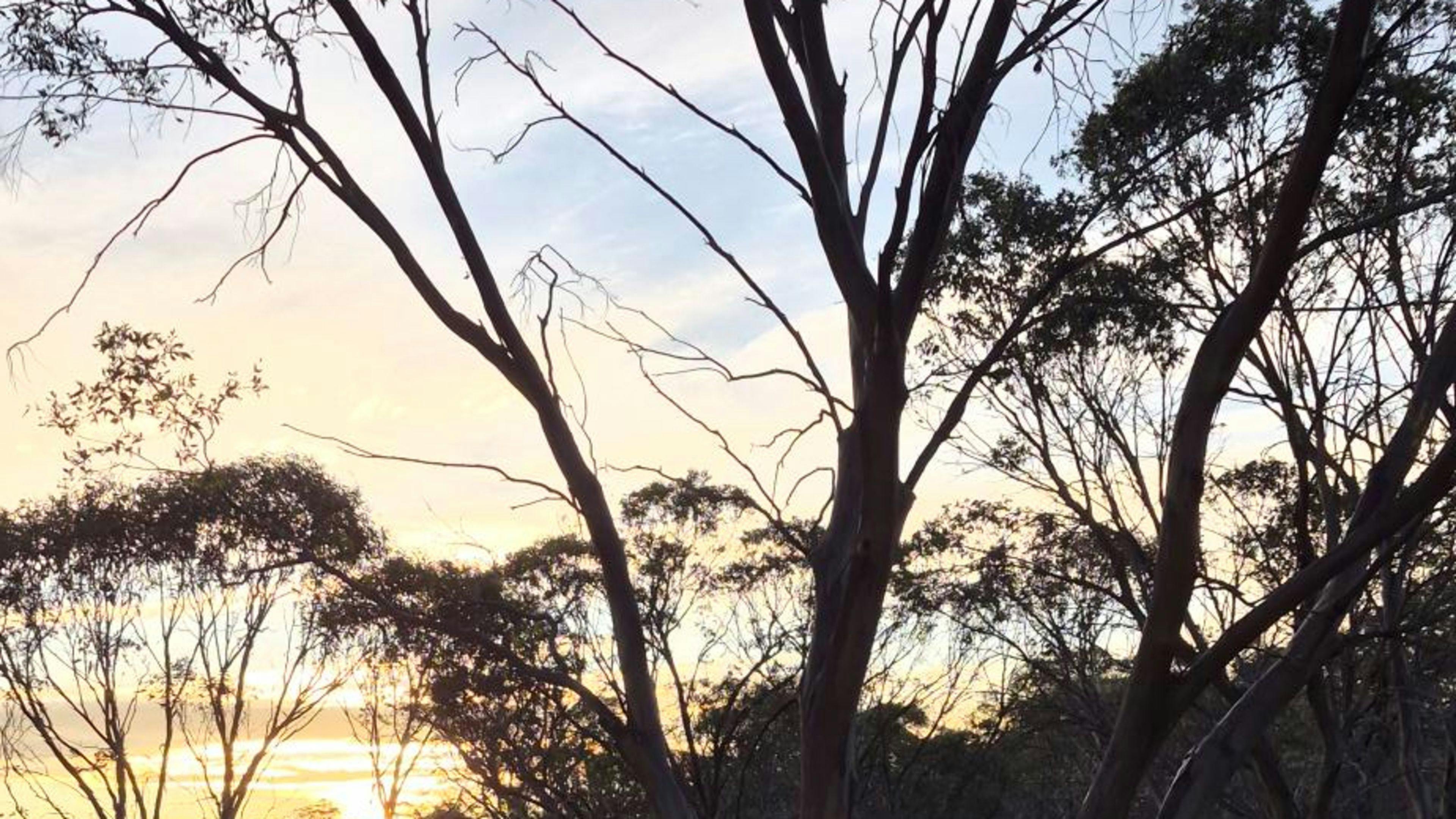 Ironpot Farmstay, Jindabyne