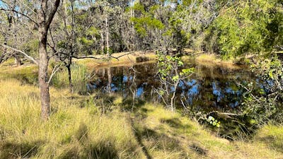Windawalla