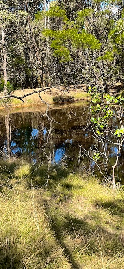 Windawalla