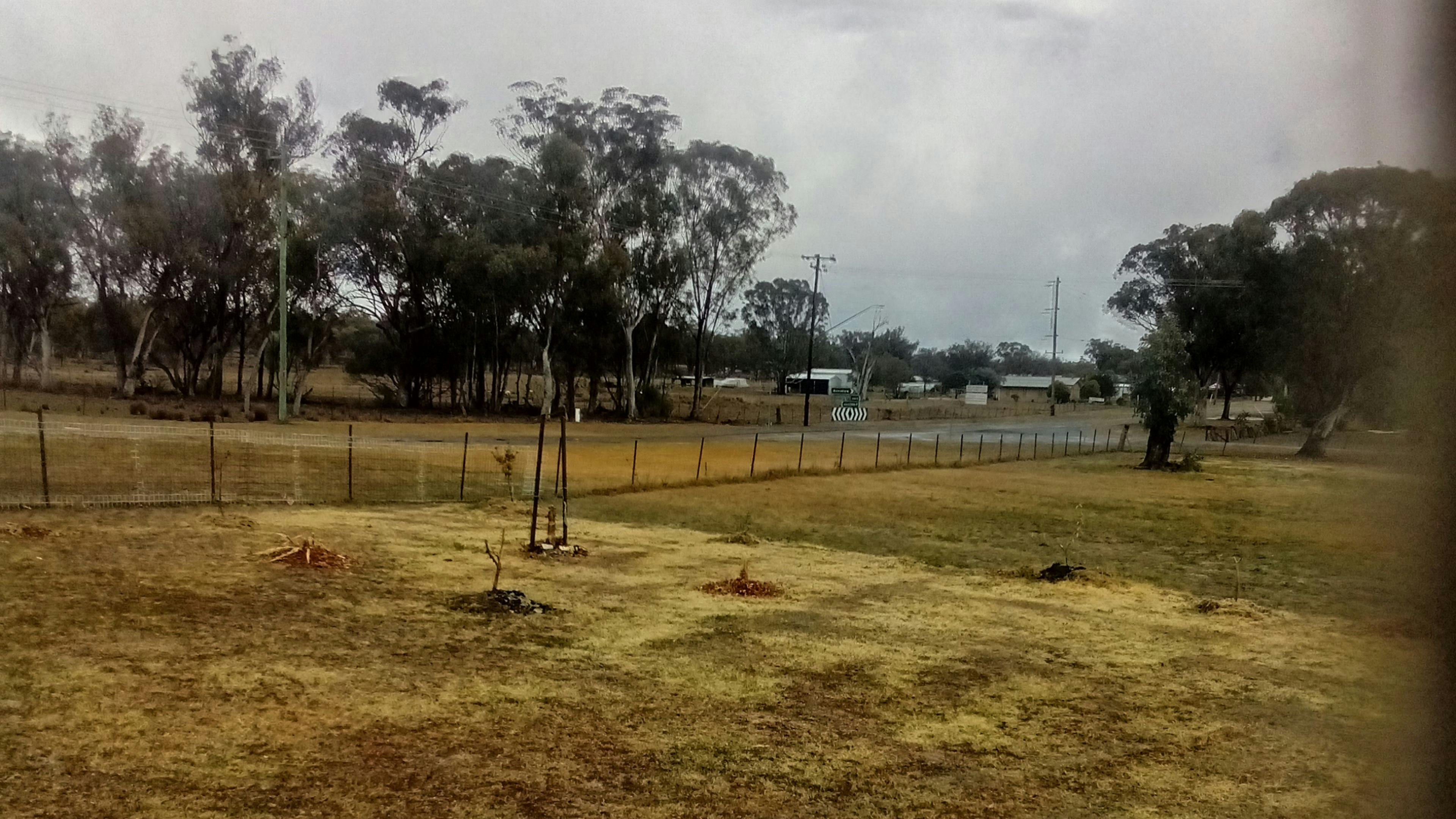 Ashford camping