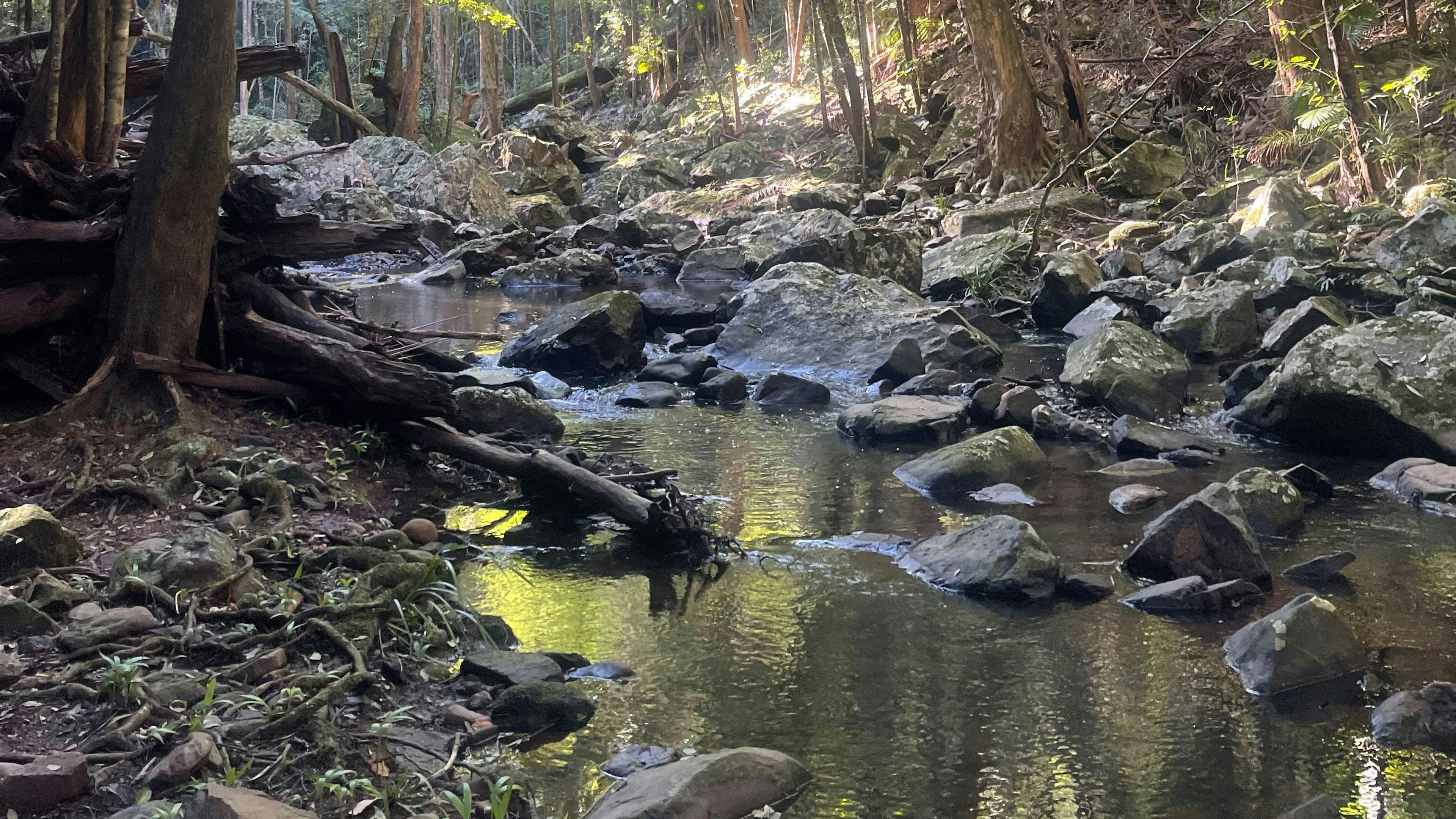 Falls Forest Retreat
