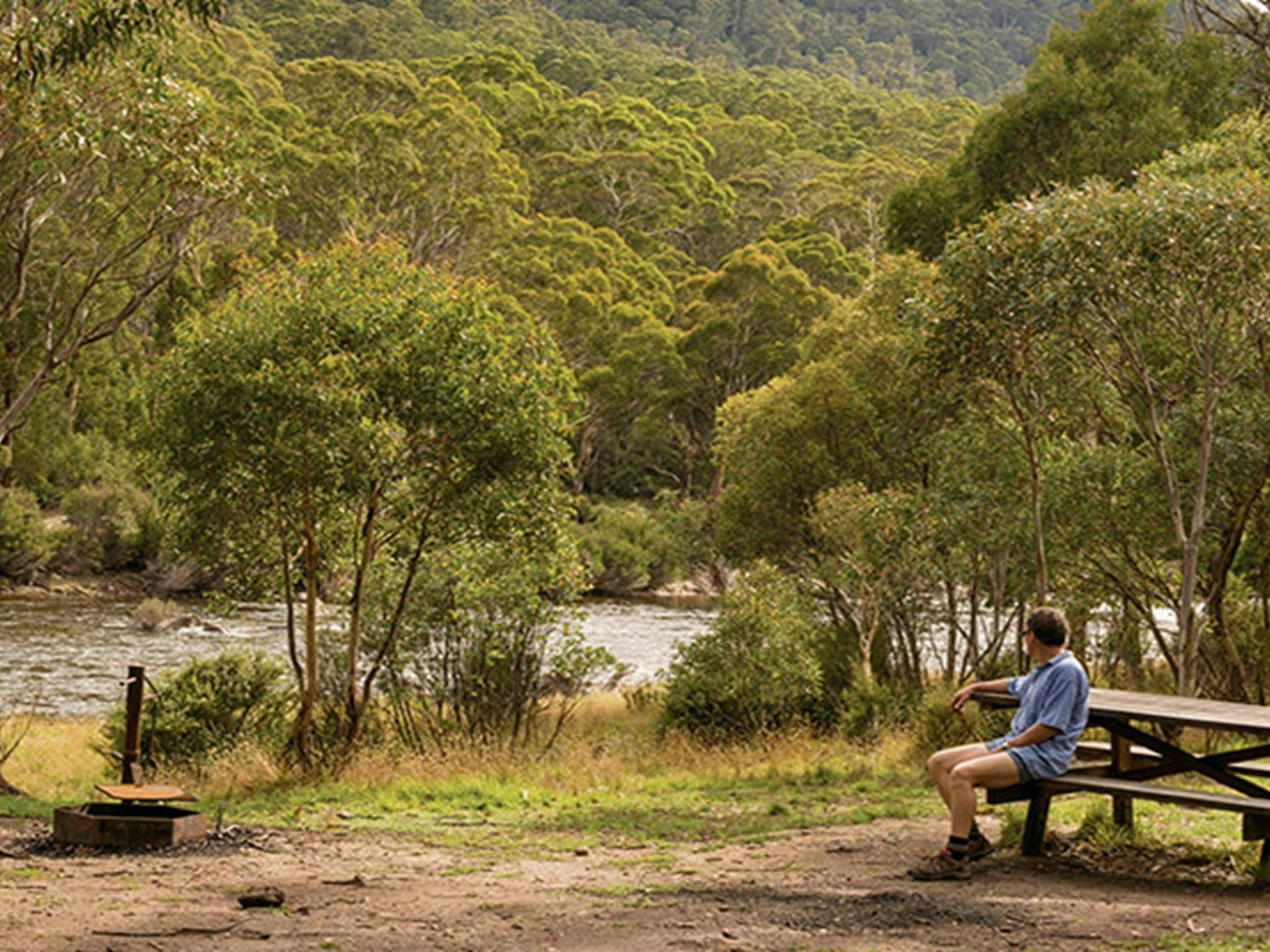Island Bend campground, Kosciuszko National Park. Photo: John Spencer/OEH