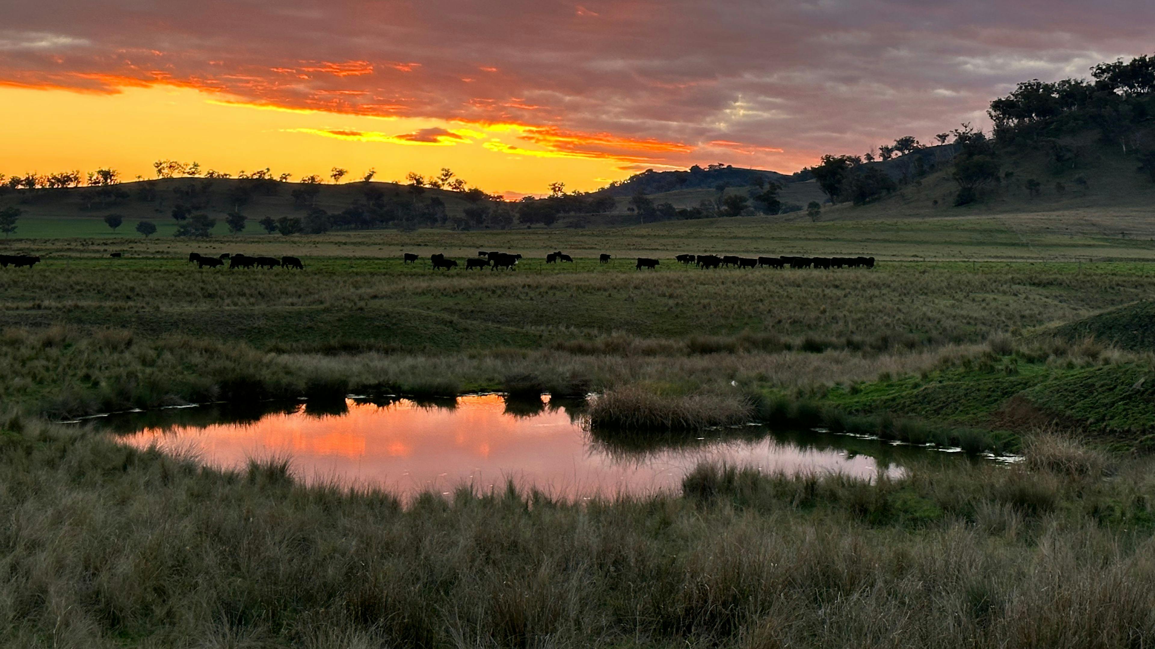 3A Camping experience | Tamworth Region