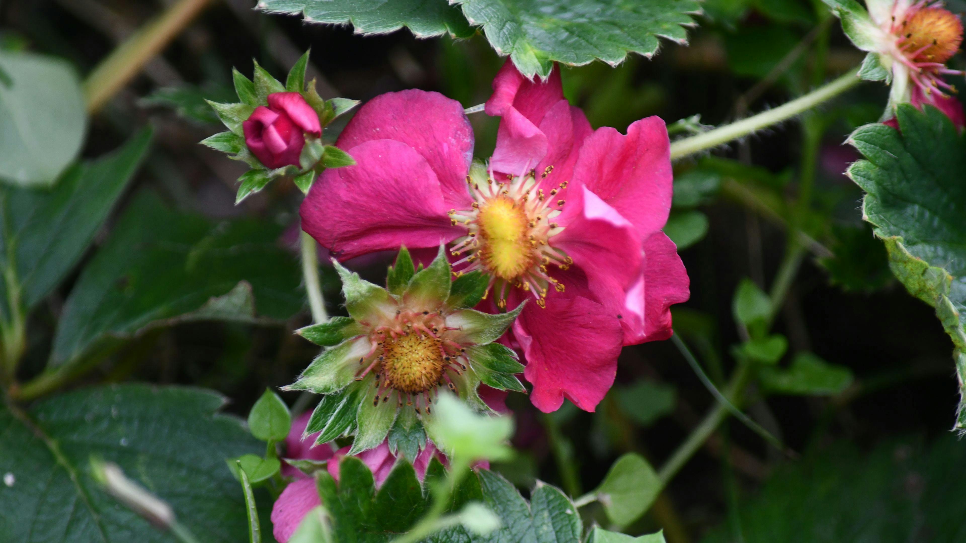 Talweg of Talley Valley on the Gold Coast
