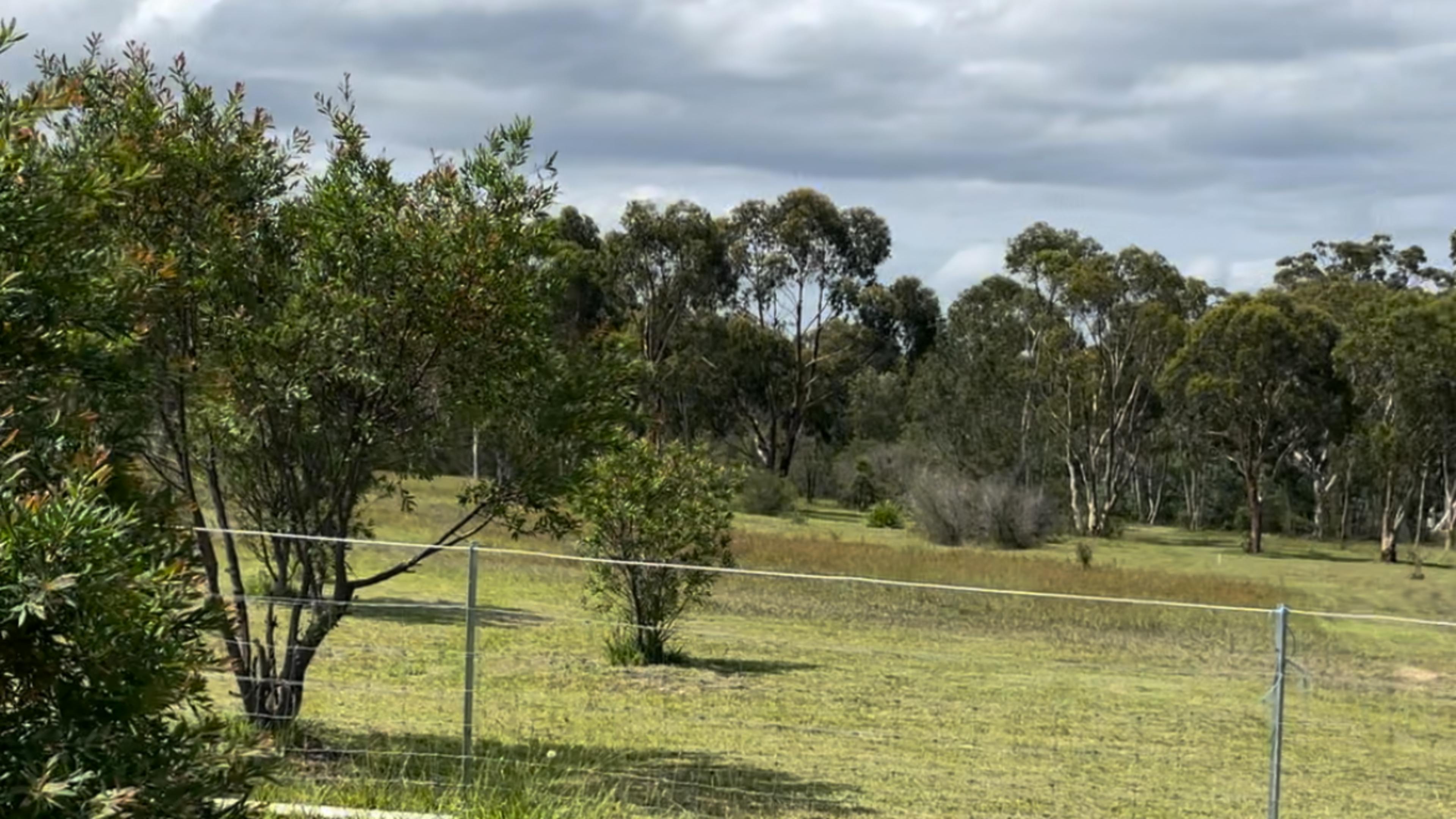 밴 파크를 피하세요
