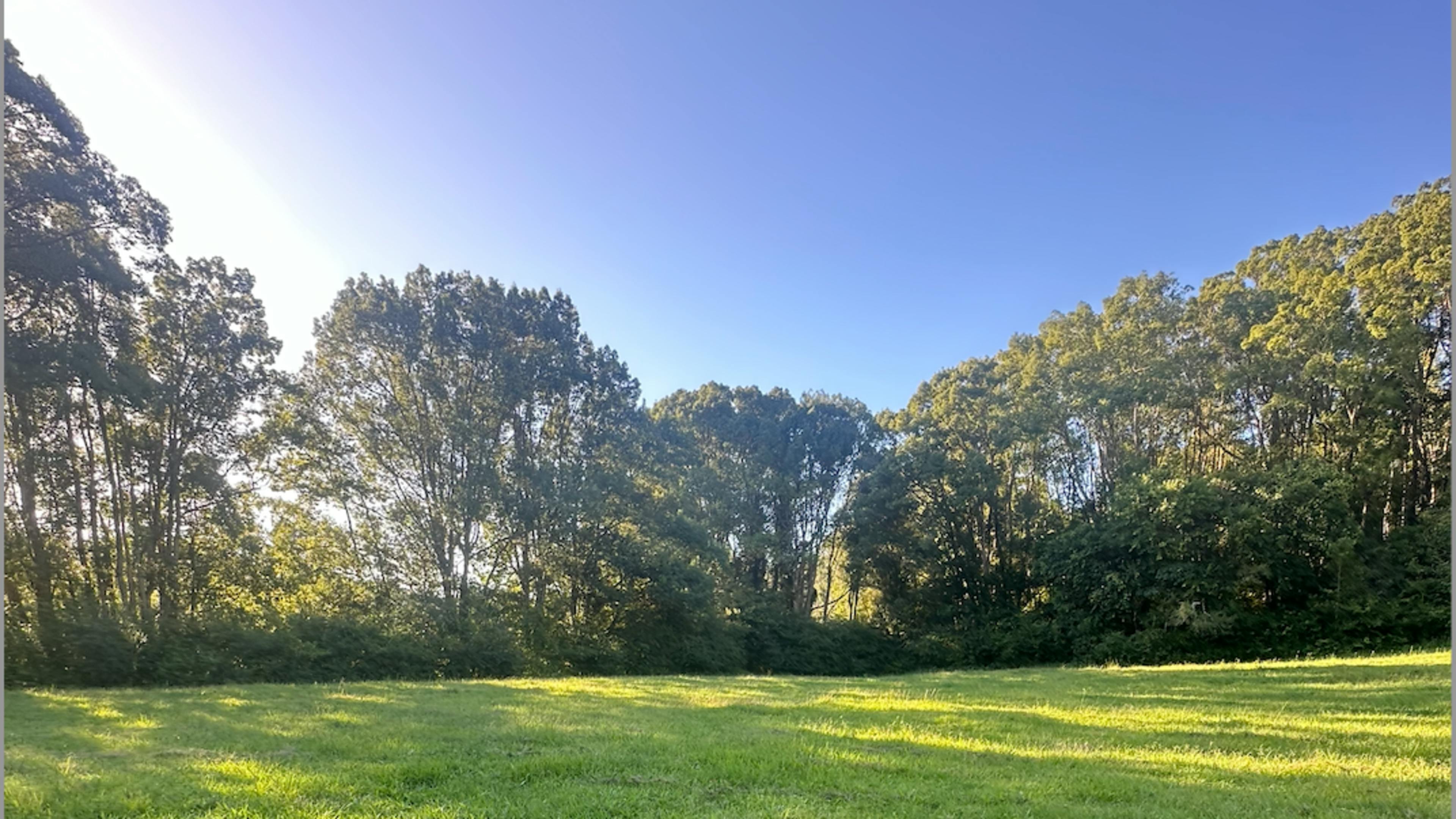 威爾遜河度假村