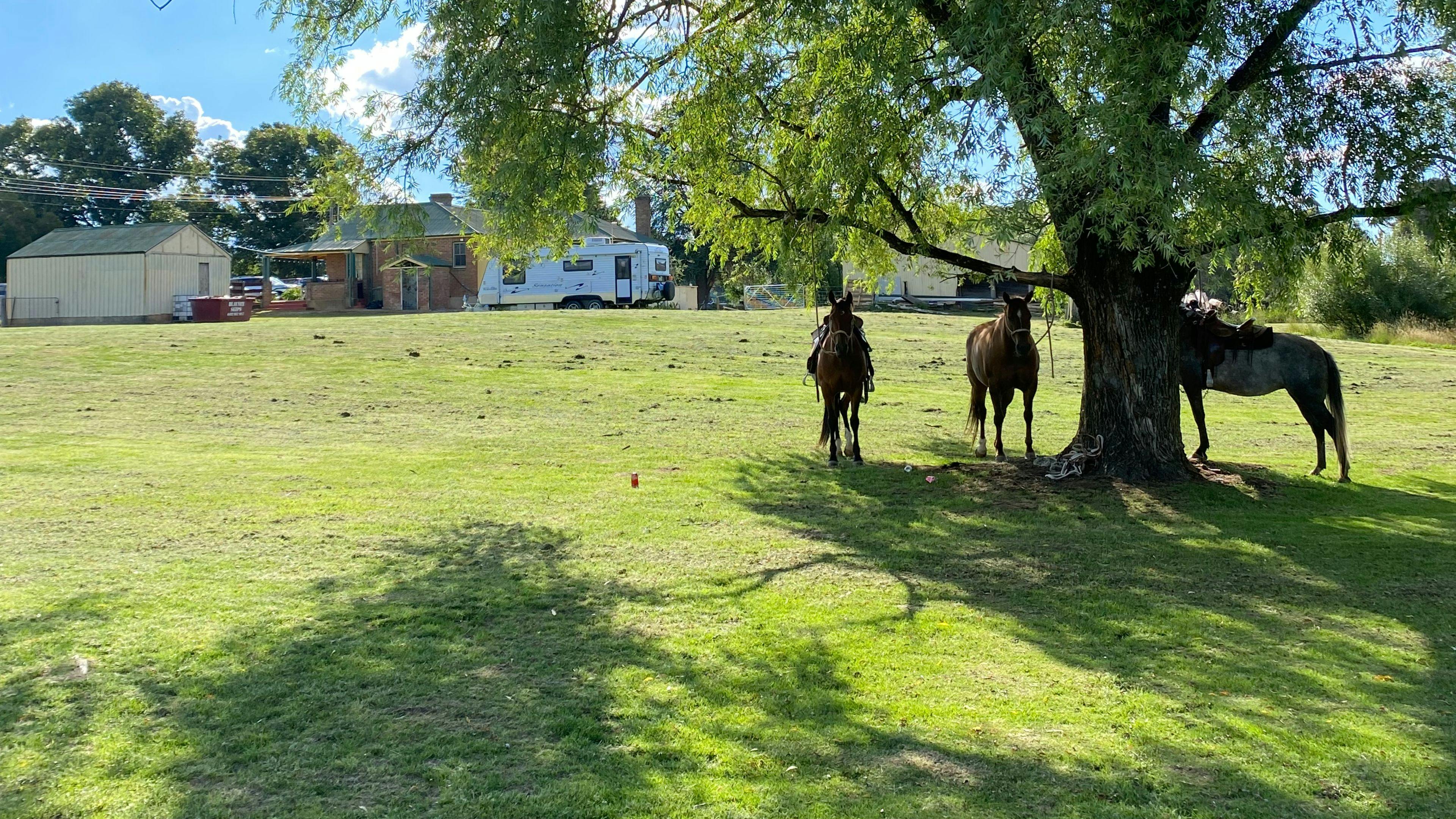 The Neville Hotel Grounds