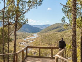 Jacks lookout