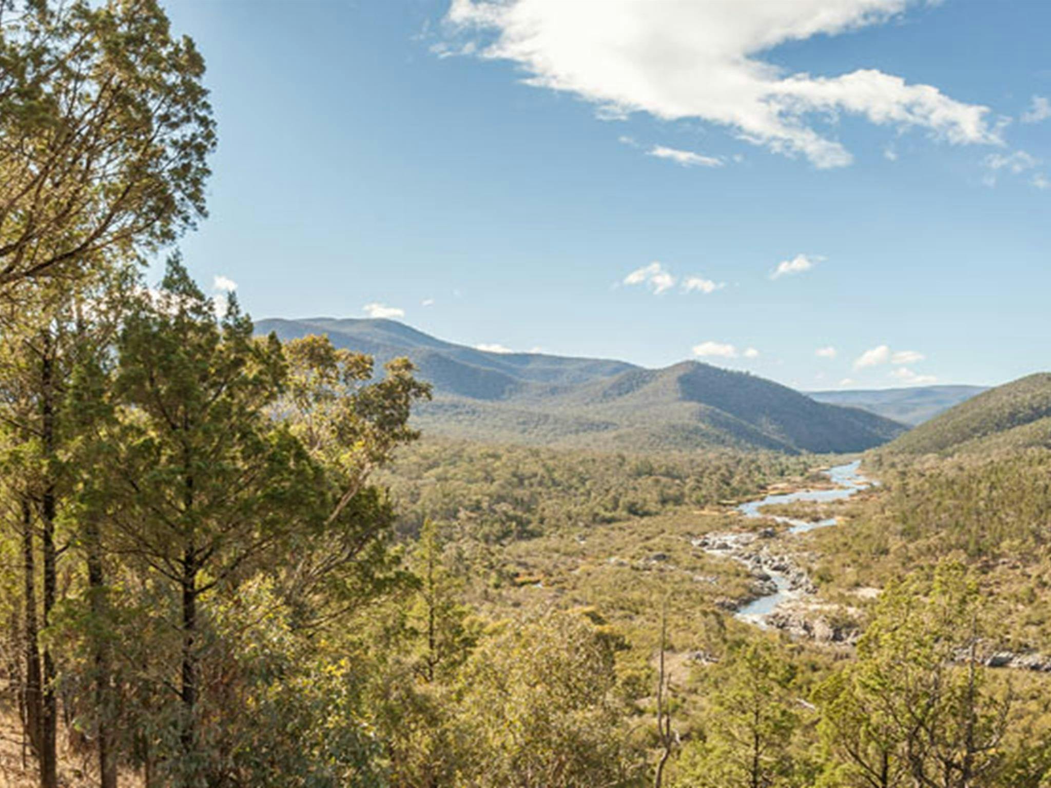 Jacks lookout