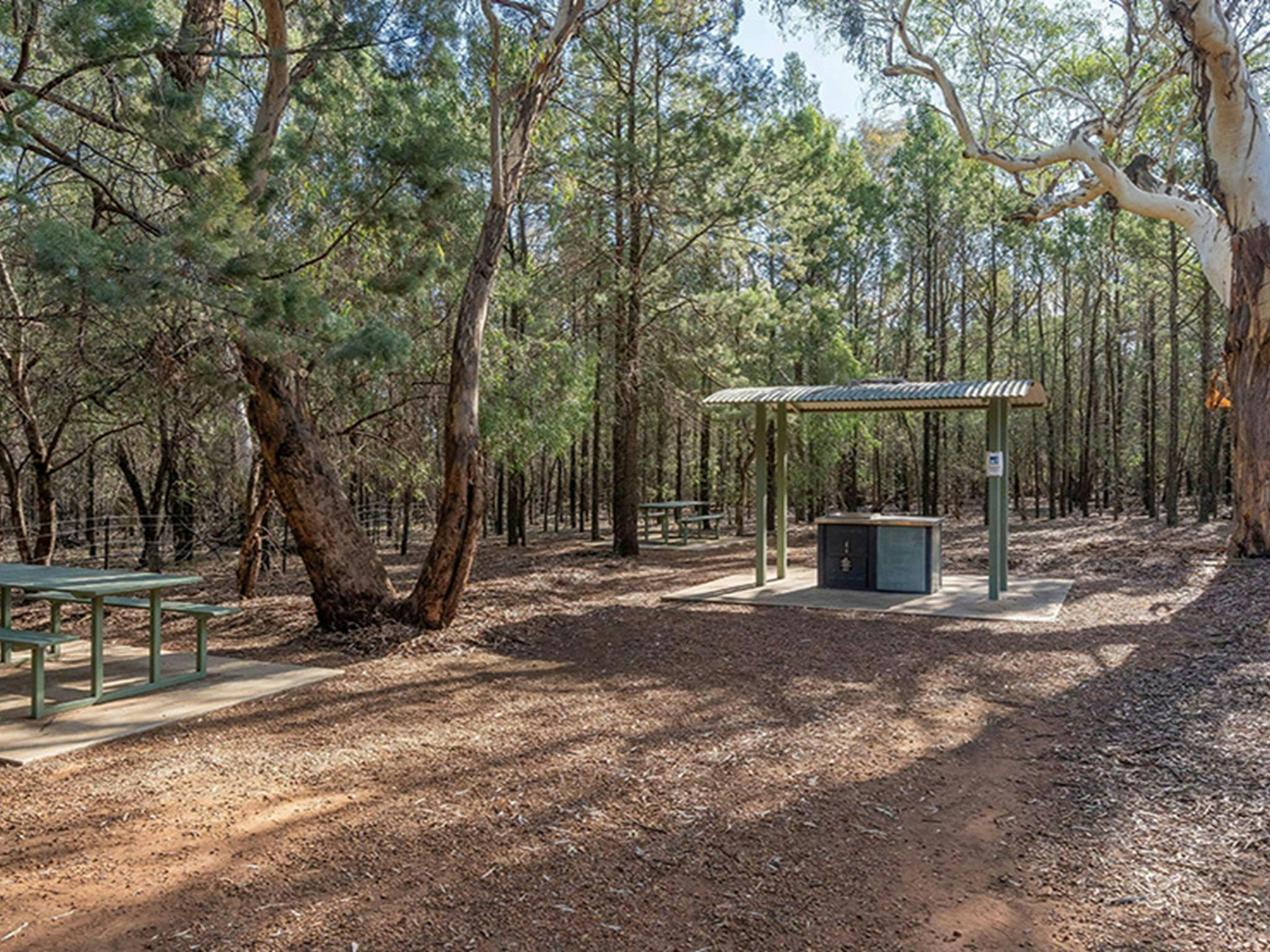 A sheltered barbecue beside a picnic table in a shady, forested patch at Jacks Creek picnic area.