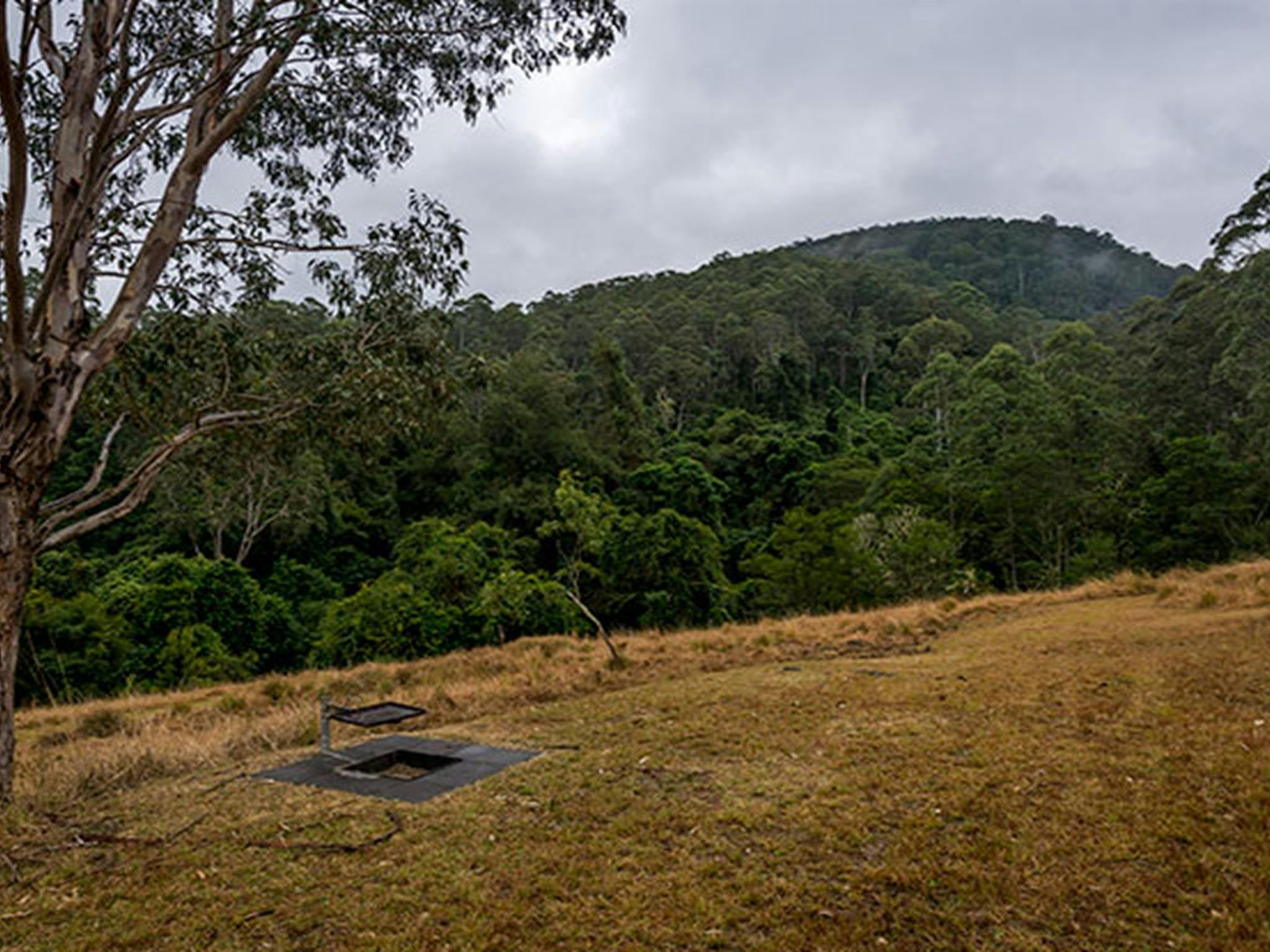 Campingplatz Jacky Barkers, Nowendoc-Nationalpark. Foto: John Spencer/Regierung von New South Wales