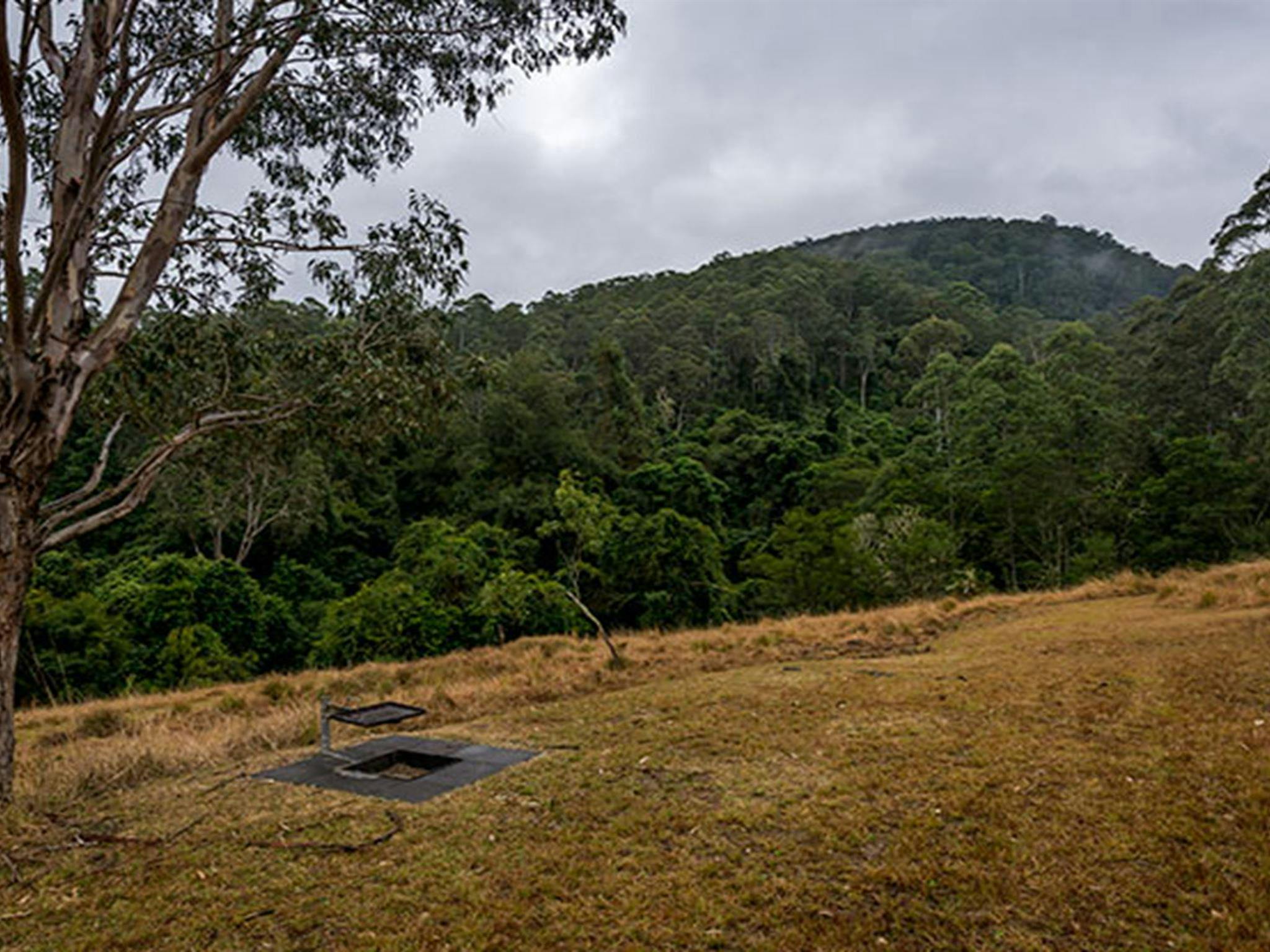 Jacky Barkers campground, Nowendoc National Park. Photo: John Spencer/NSW Government
