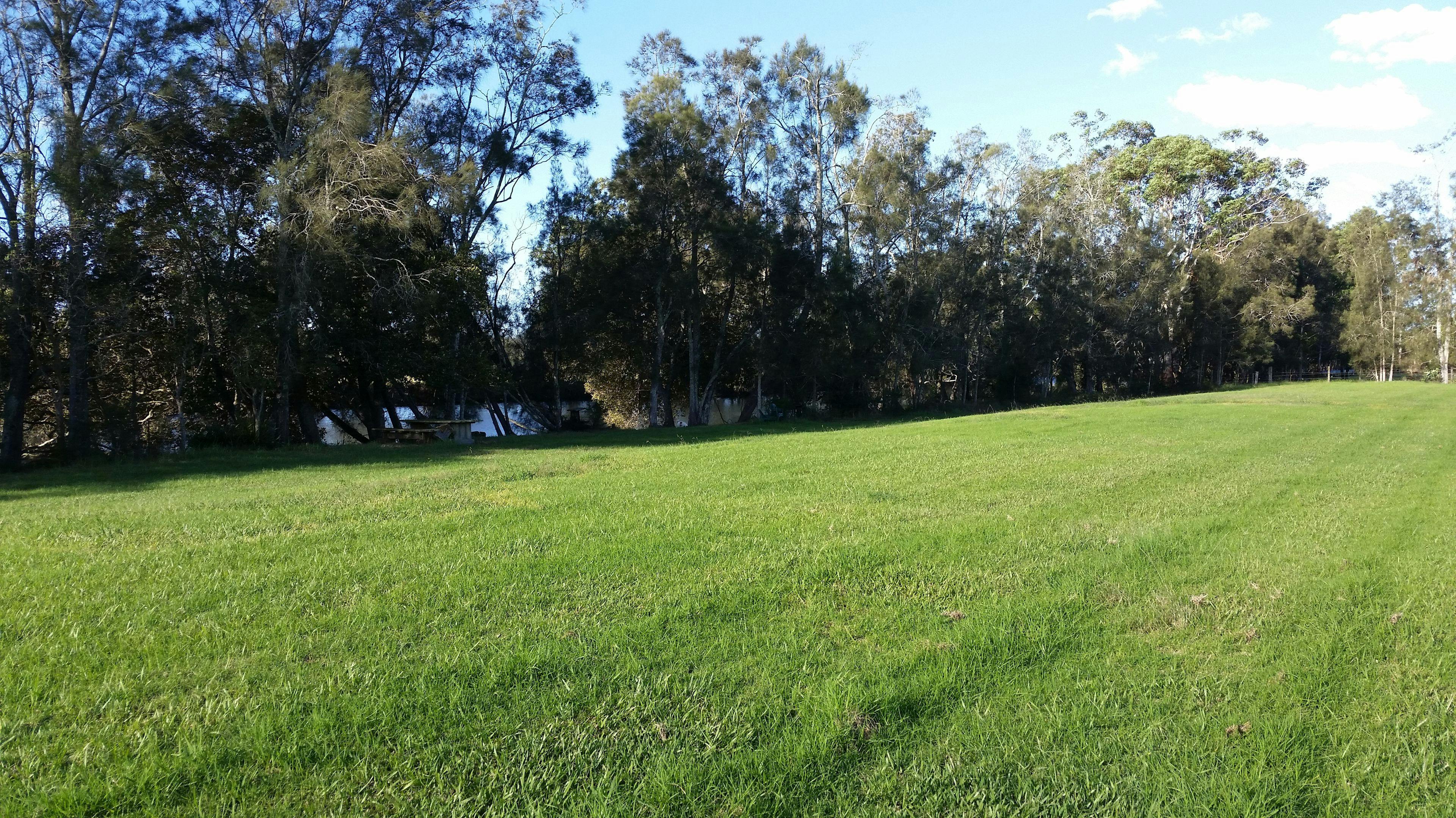 Grass lined river bank for cam