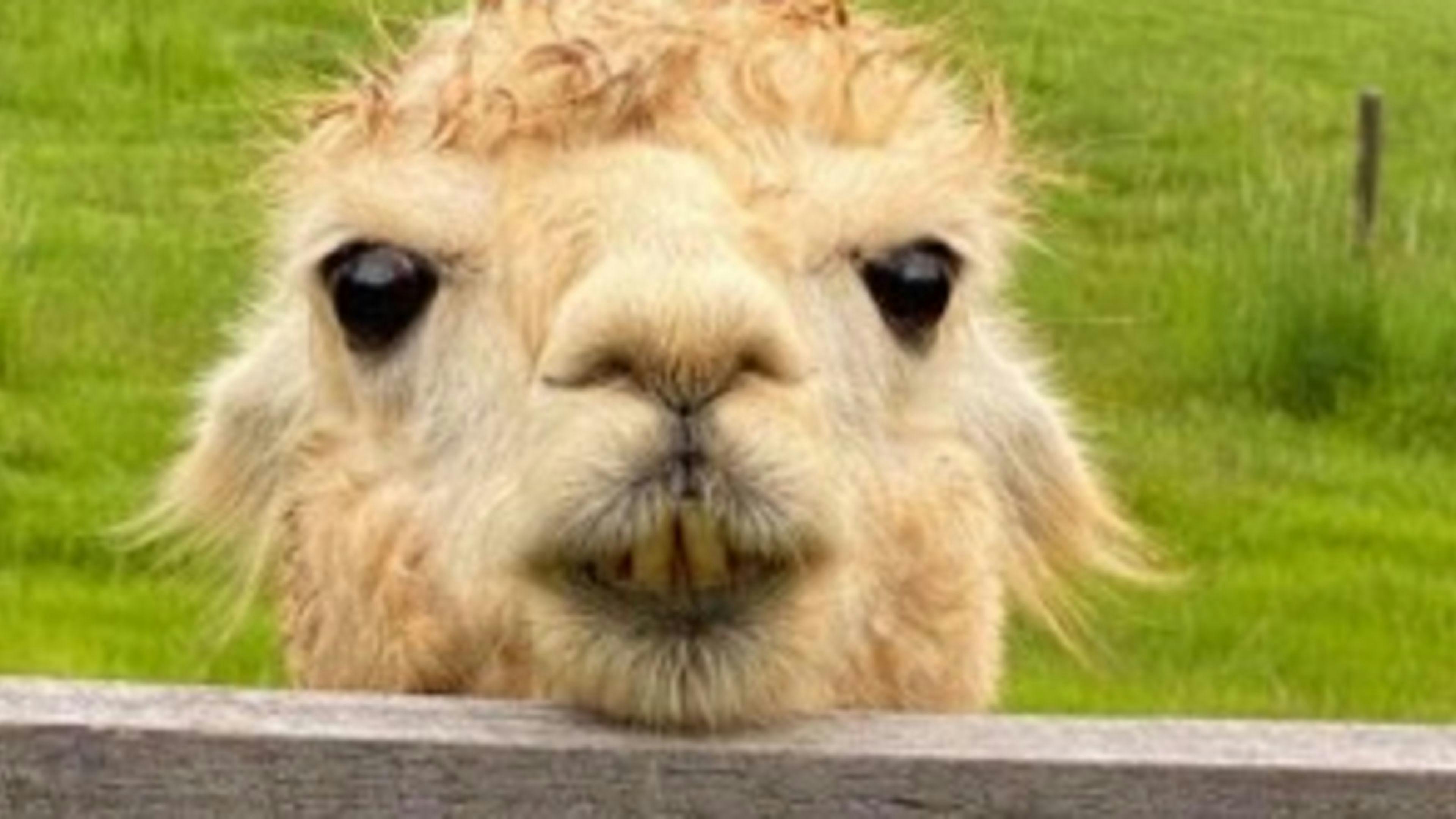 "JALUM" Undulating Farmland!