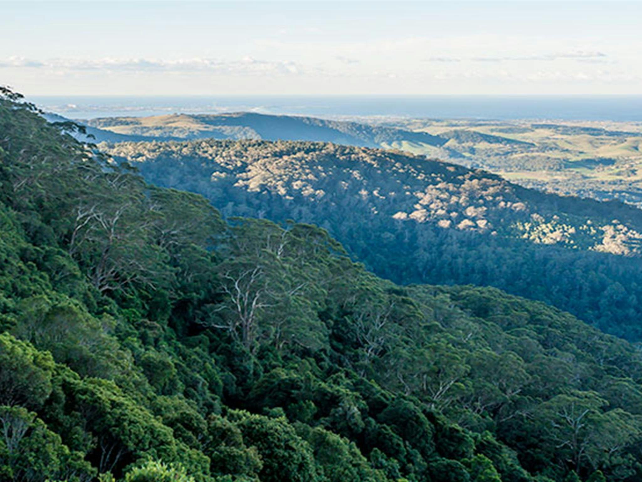 Jamberoo lookout, Budderoo National Park. Photo credit: Michael Van Ewijk &copy; DPIE