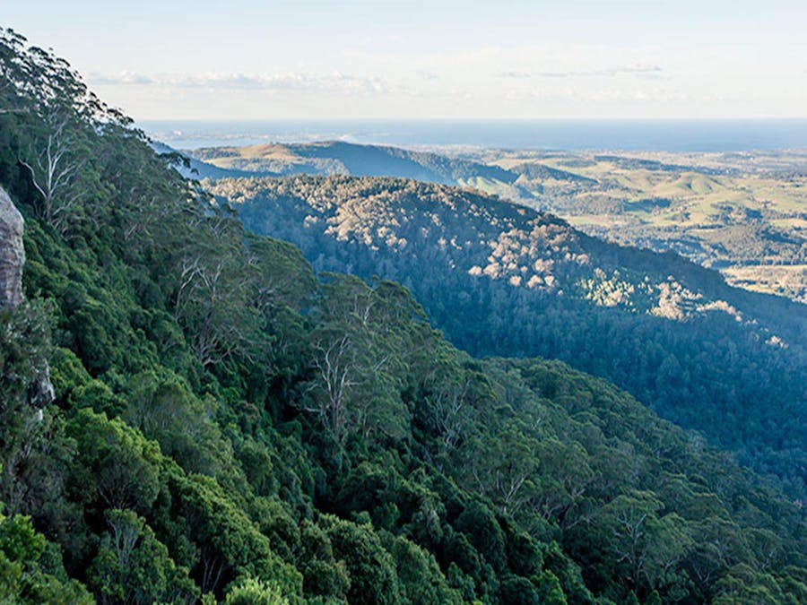 Jamberoo lookout, Budderoo National Park. Photo credit: Michael Van Ewijk © DPIE