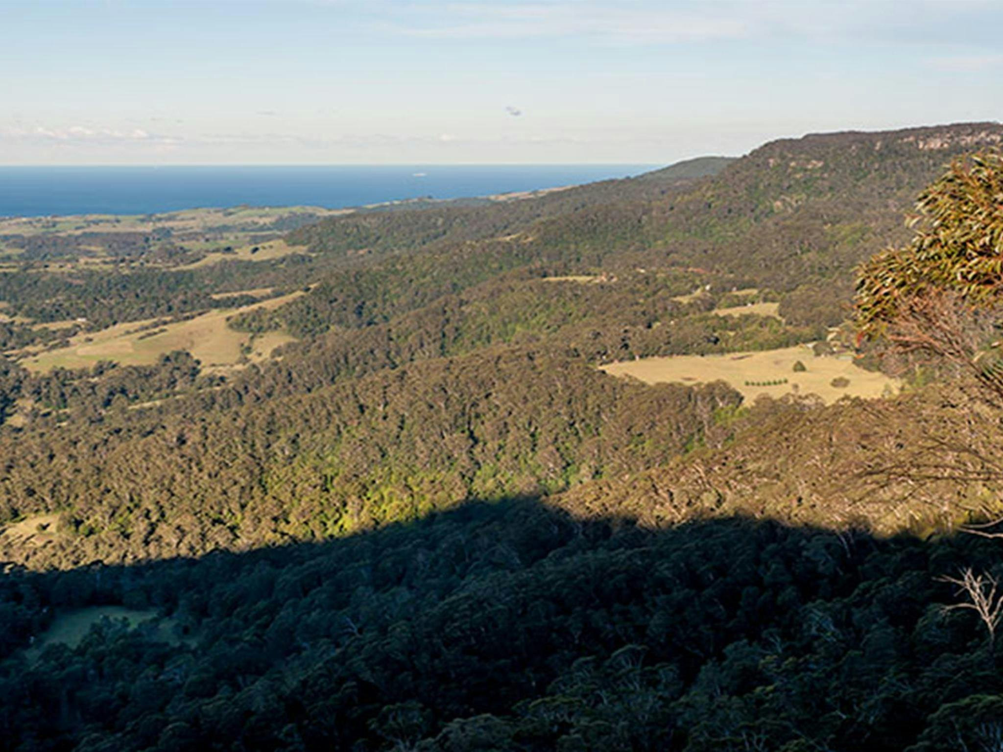 Jamberoo lookout, Budderoo National Park. Photo credit: Michael Van Ewijk &copy; DPIE