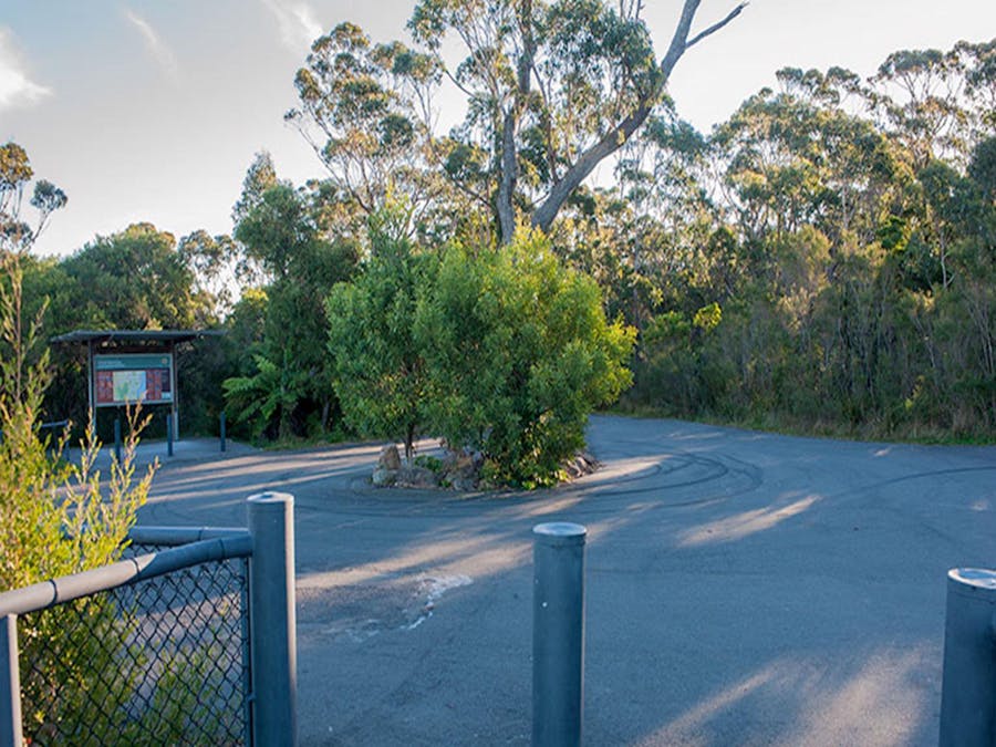 Jamberoo lookout, Budderoo National Park. Photo credit: Michael Van Ewijk © DPIE