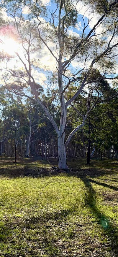 Janisa | Horse & Dog Friendly Stay