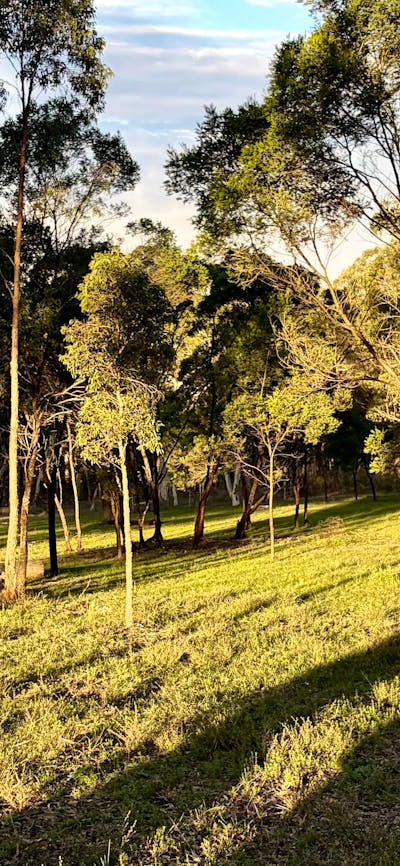 Janisa | Horse & Dog Friendly Stay