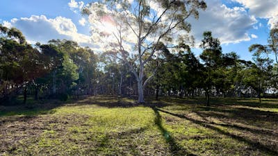 Janisa | Horse & Dog Friendly Stay