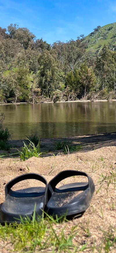 Jarabin on the Murrumbidgee