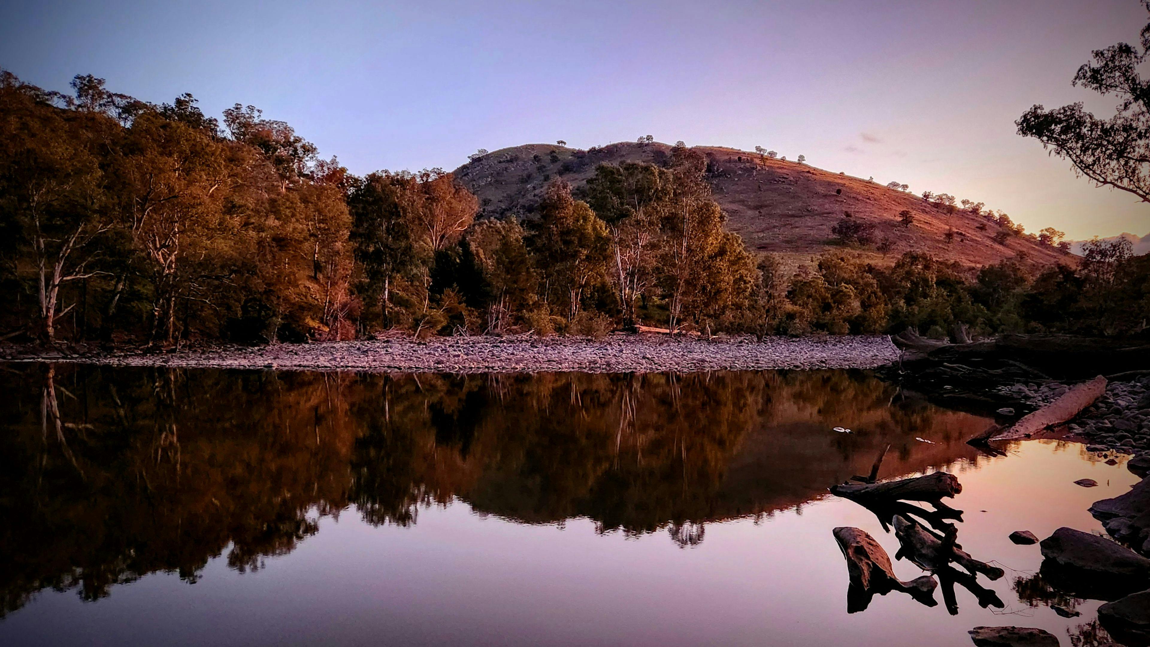Jarabin on the Murrumbidgee