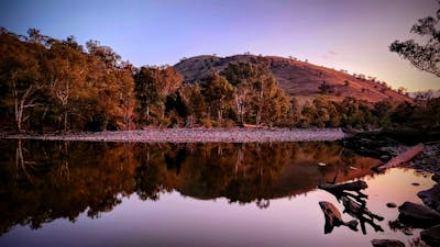 Jarabin on the Murrumbidgee