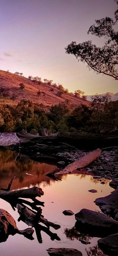 Jarabin on the Murrumbidgee