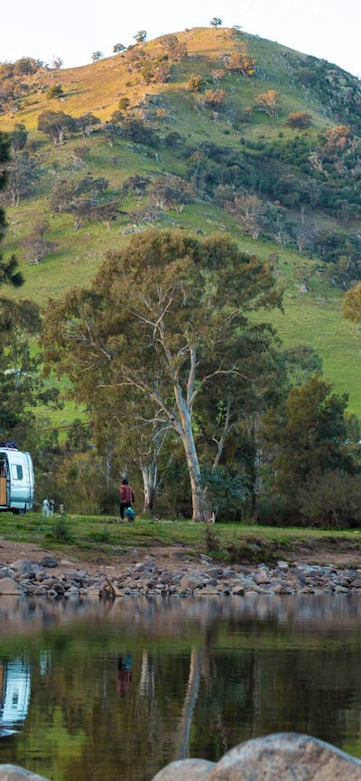 Jarabin on the Murrumbidgee