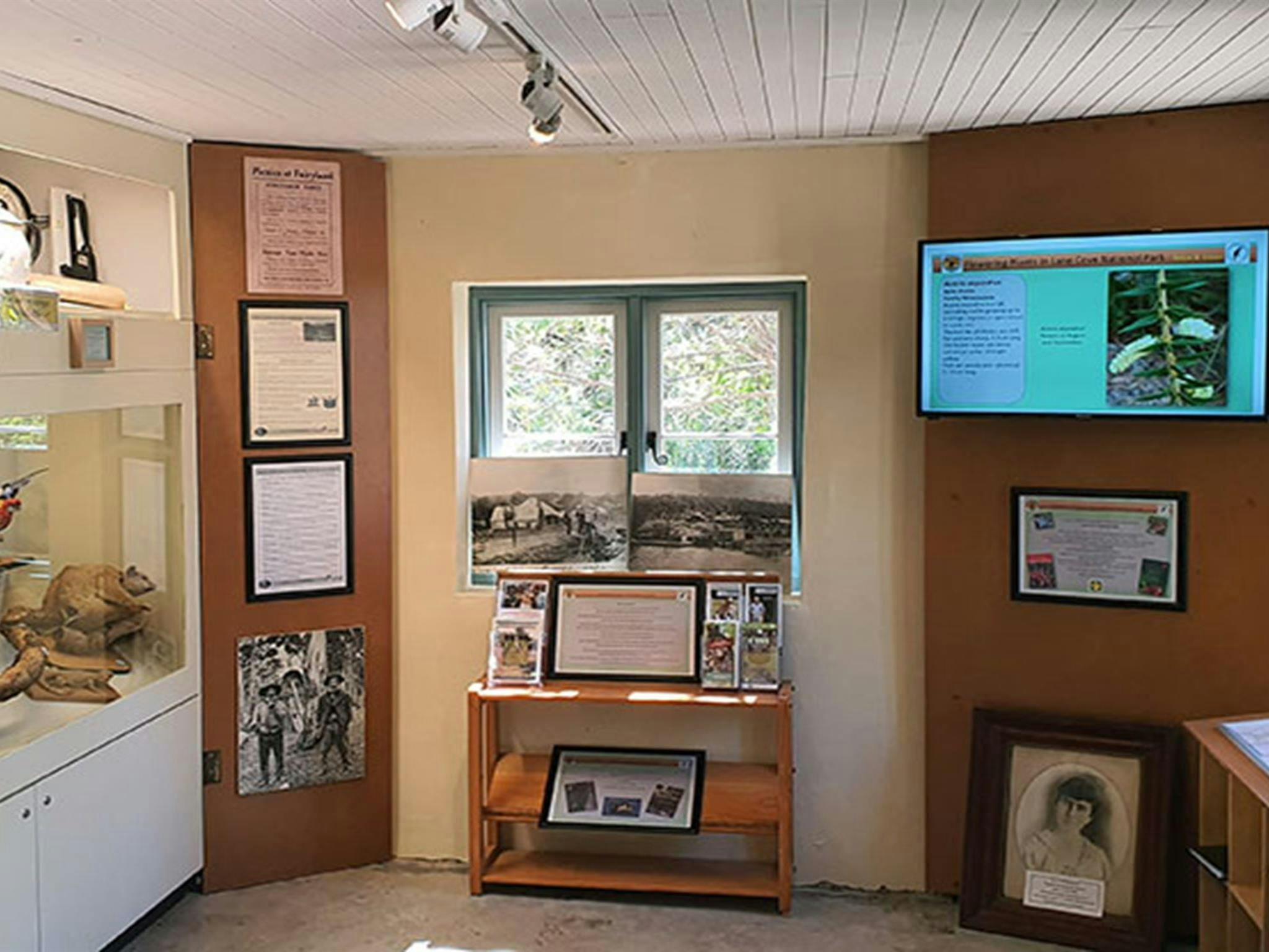 The eastern interior of Jenkins Kitchen with photographs and animals on display in Lane Cove